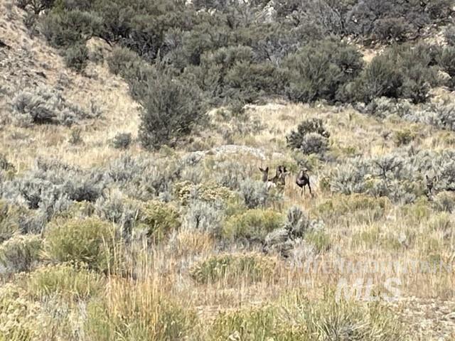 Badger Creek Property Photo 17