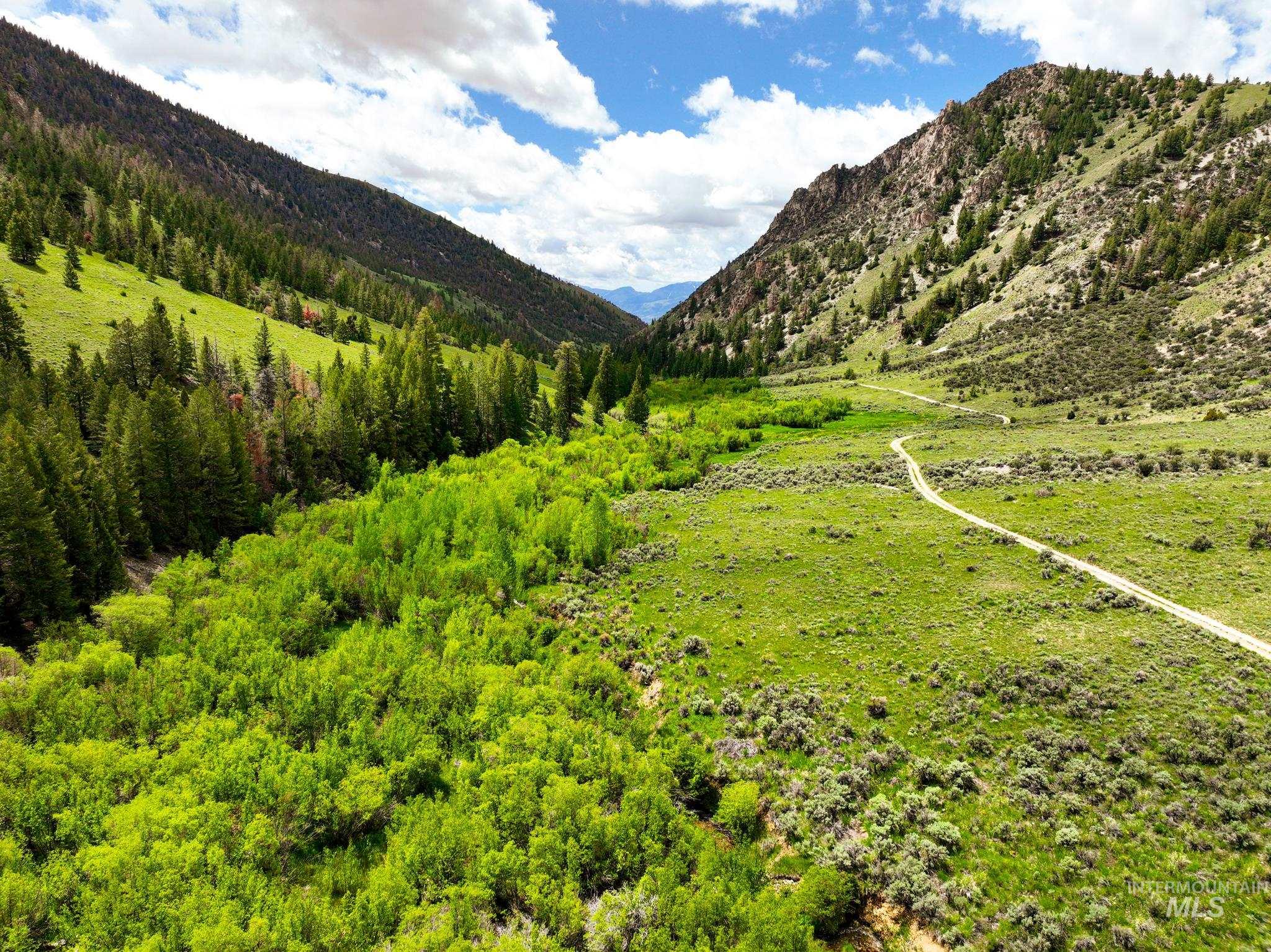 Badger Creek Property Photo 34