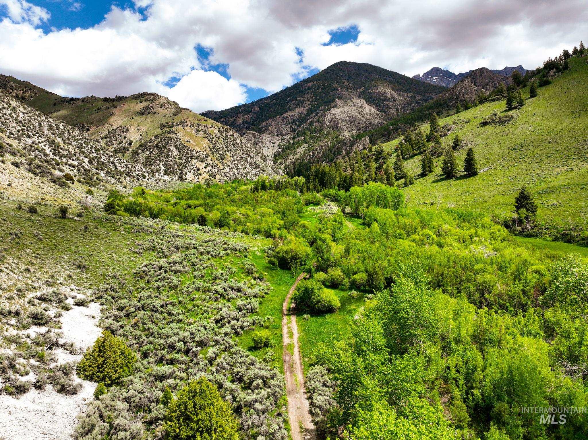 Badger Creek Property Photo 35