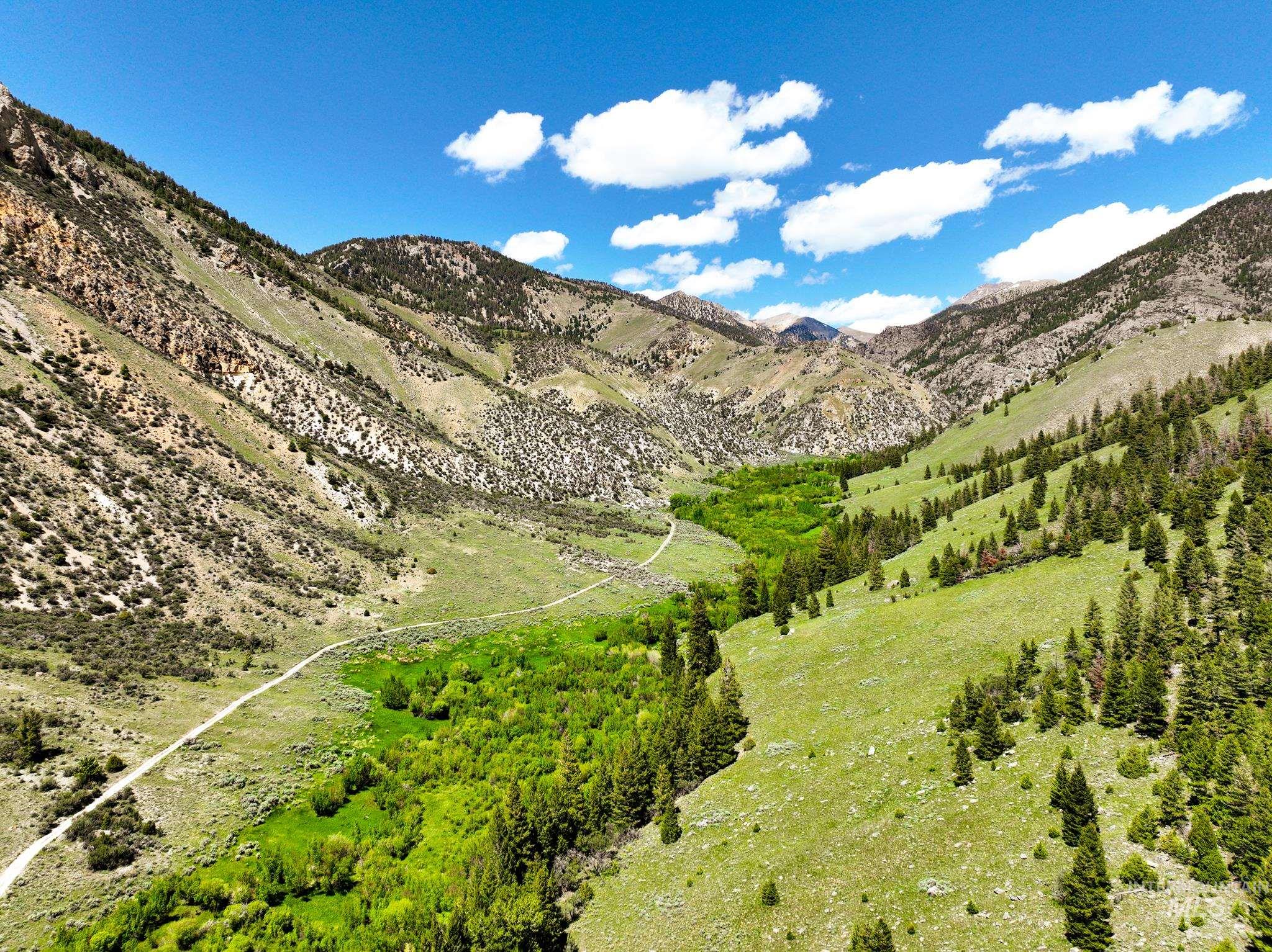 Badger Creek Property Photo 37