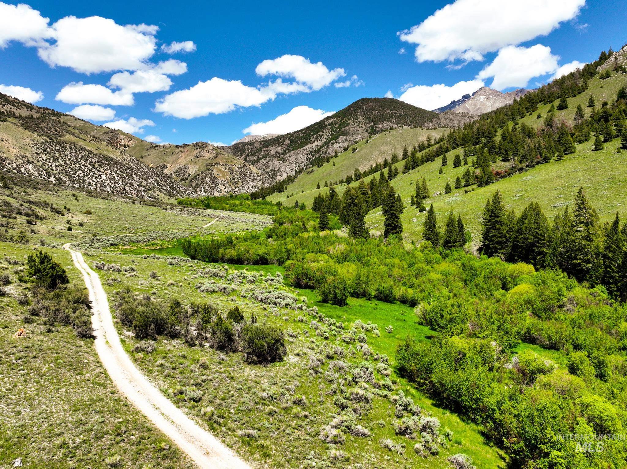Badger Creek Property Photo 39