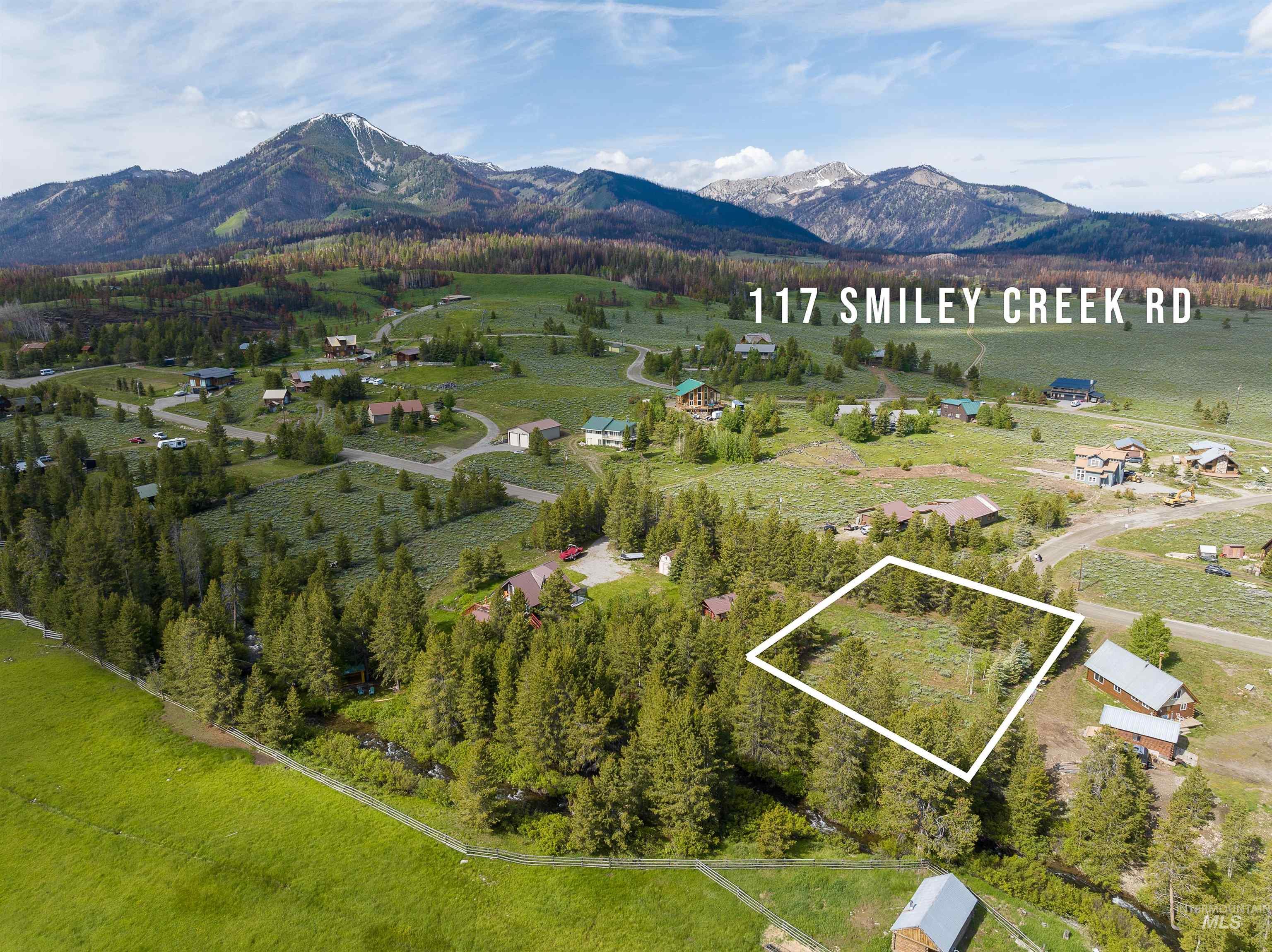 117 Smiley Creek Rd Property Photo 8