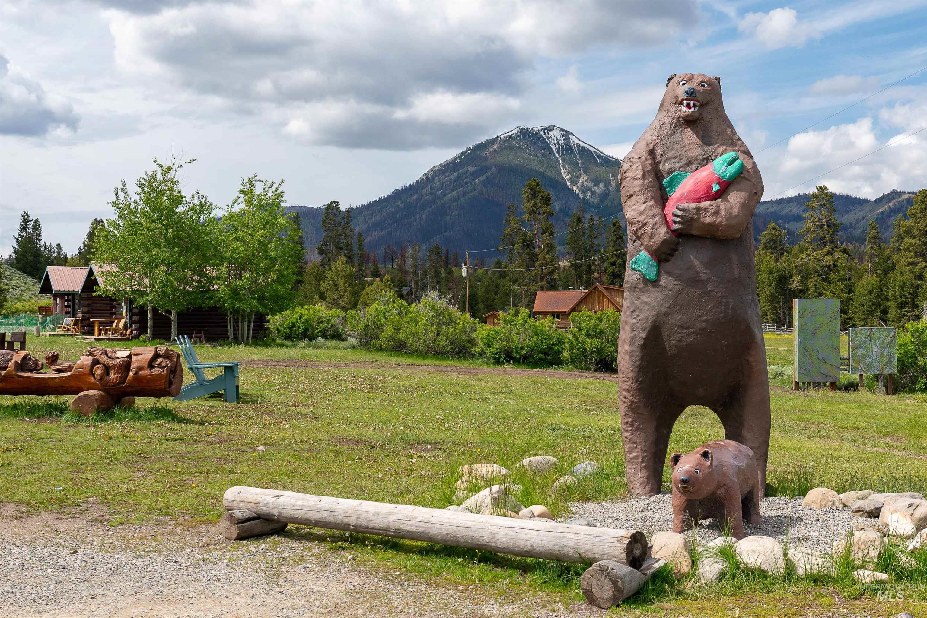 117 Smiley Creek Rd Property Photo 39