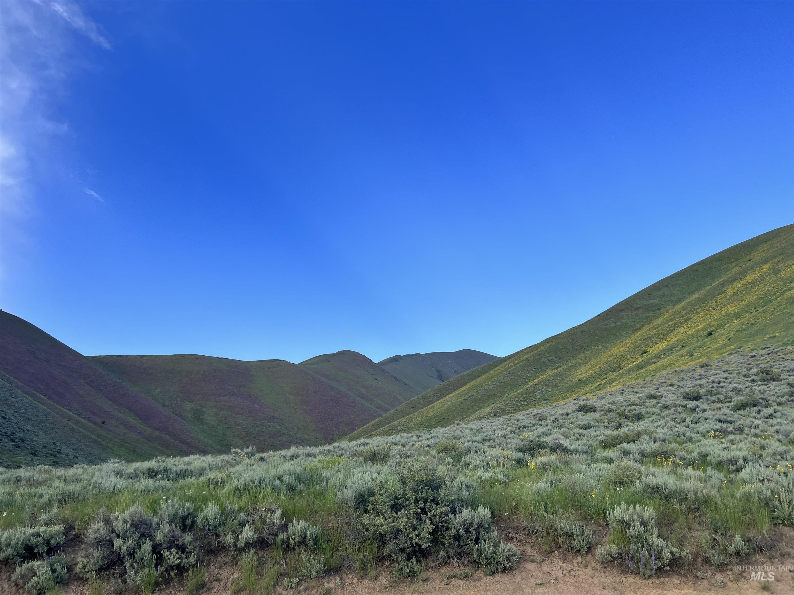 Tbd Tbd Property Photo 4