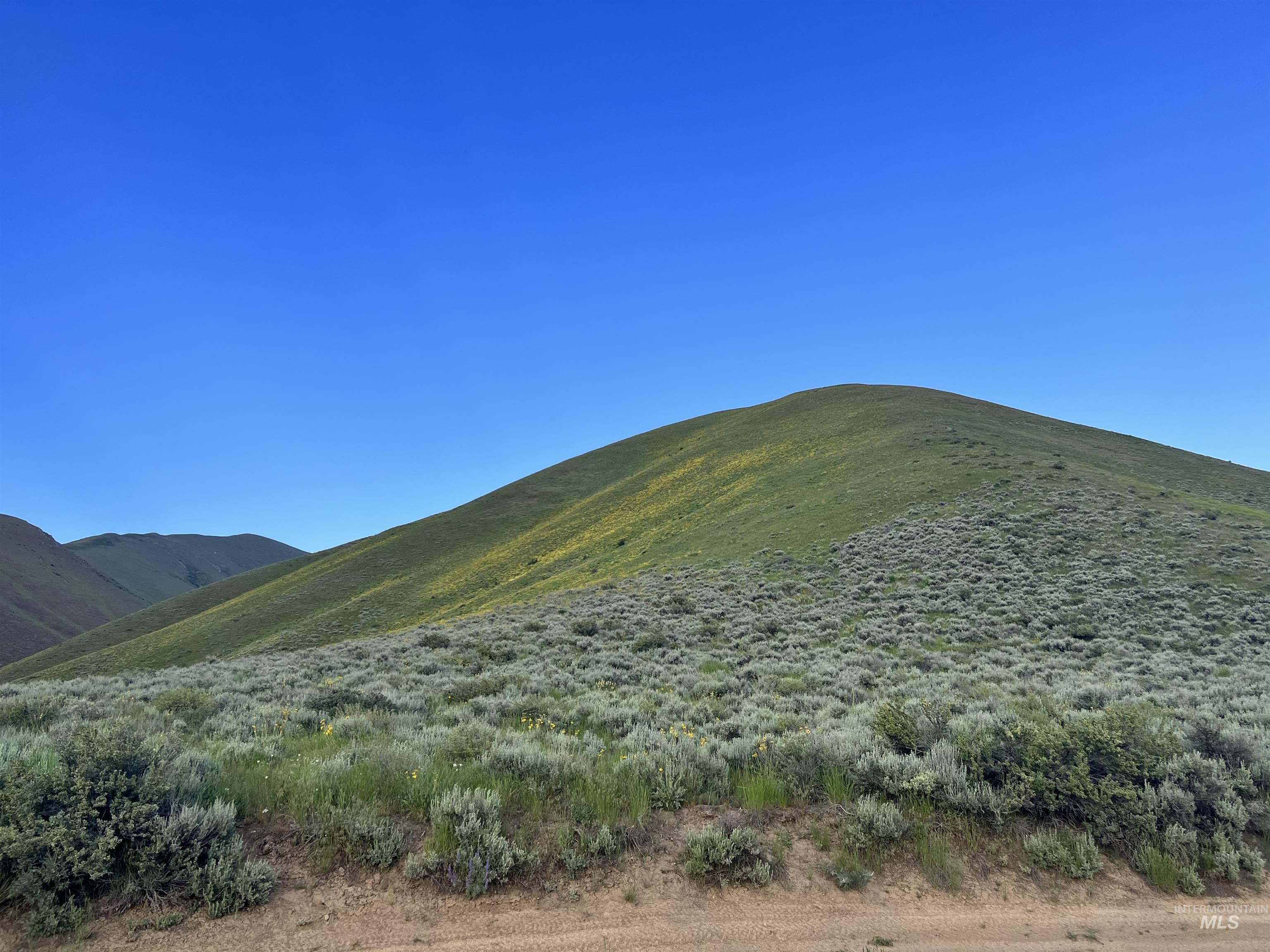 Tbd Tbd Property Photo 5