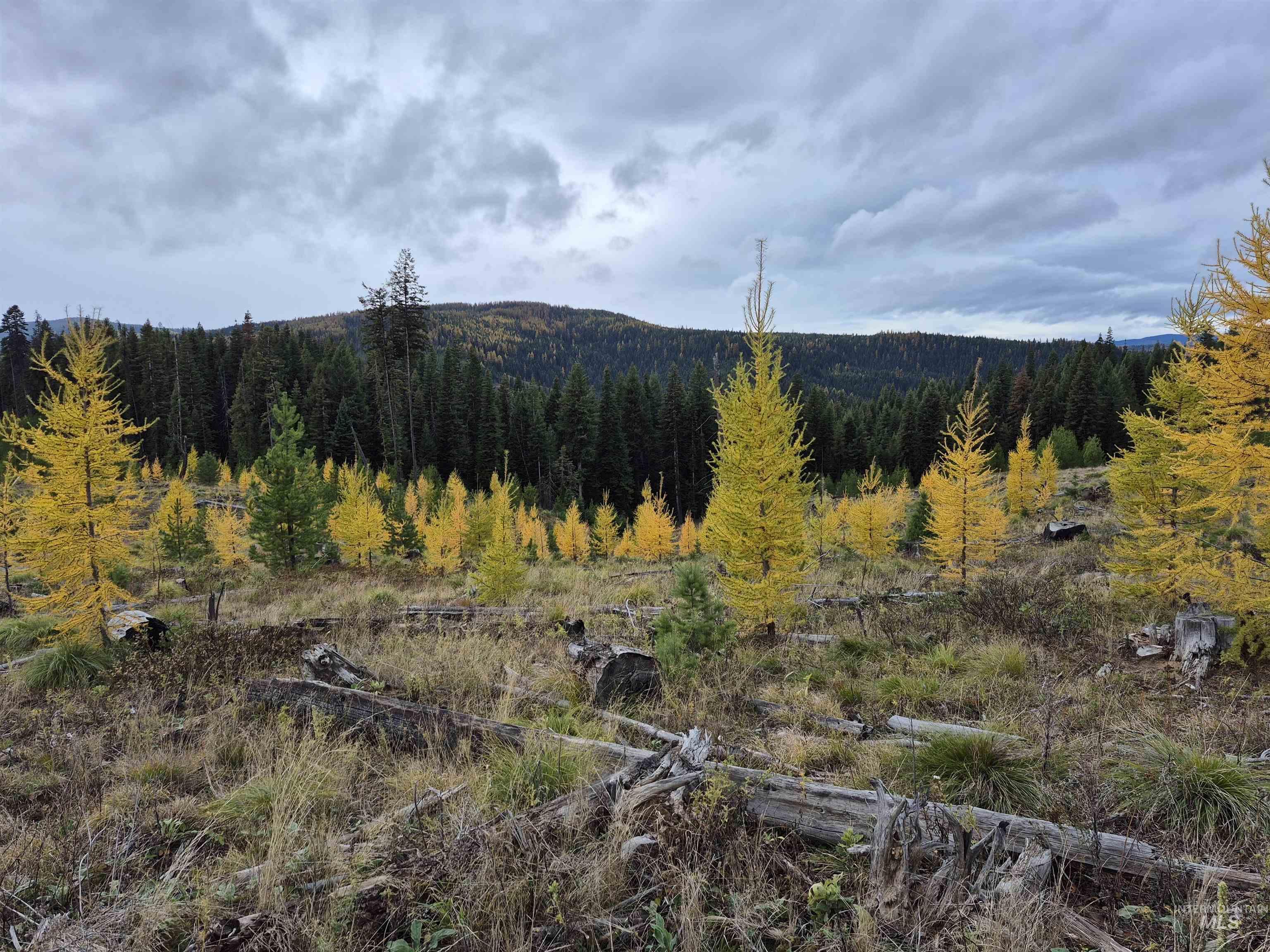 Tbd French Gulch Rd Parcel #2 Property Photo 3