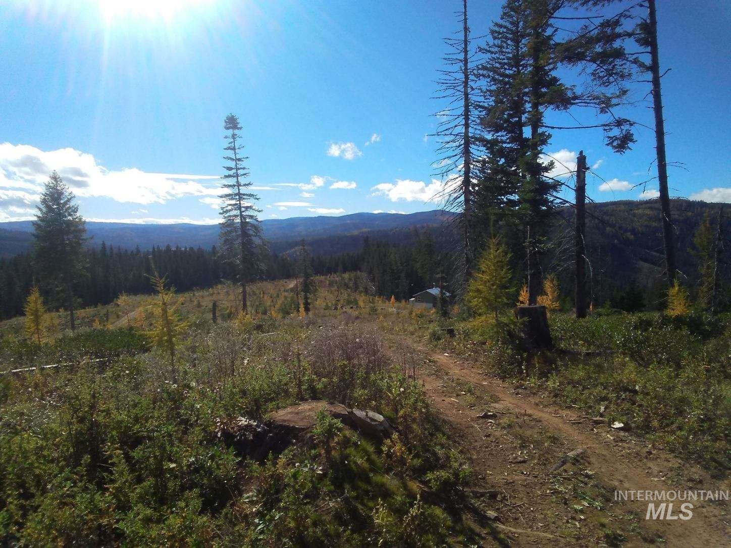 Tbd French Gulch Rd Parcel #2 Property Photo 6
