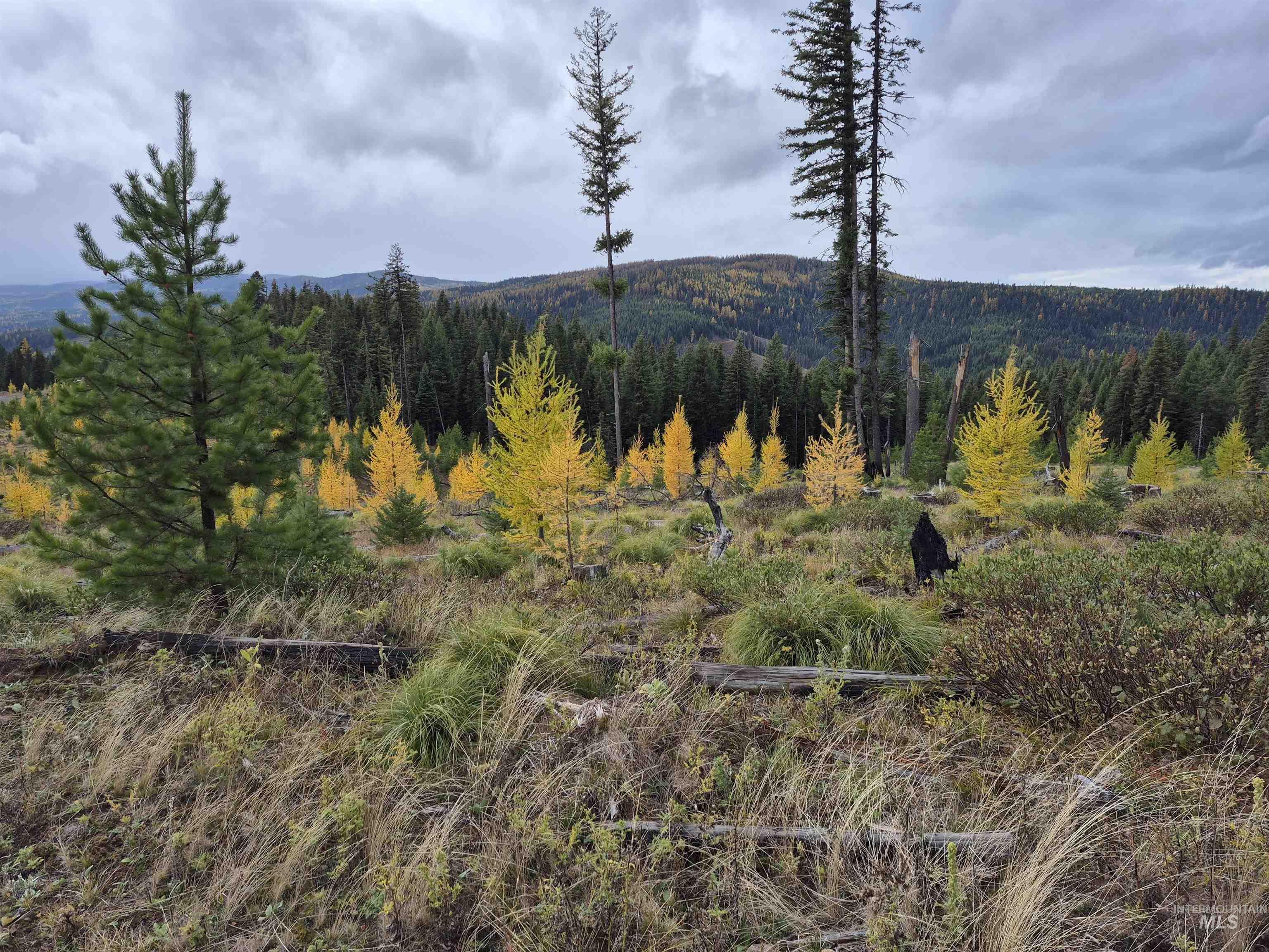 Tbd French Gulch Rd Parcel #2 Property Photo 7
