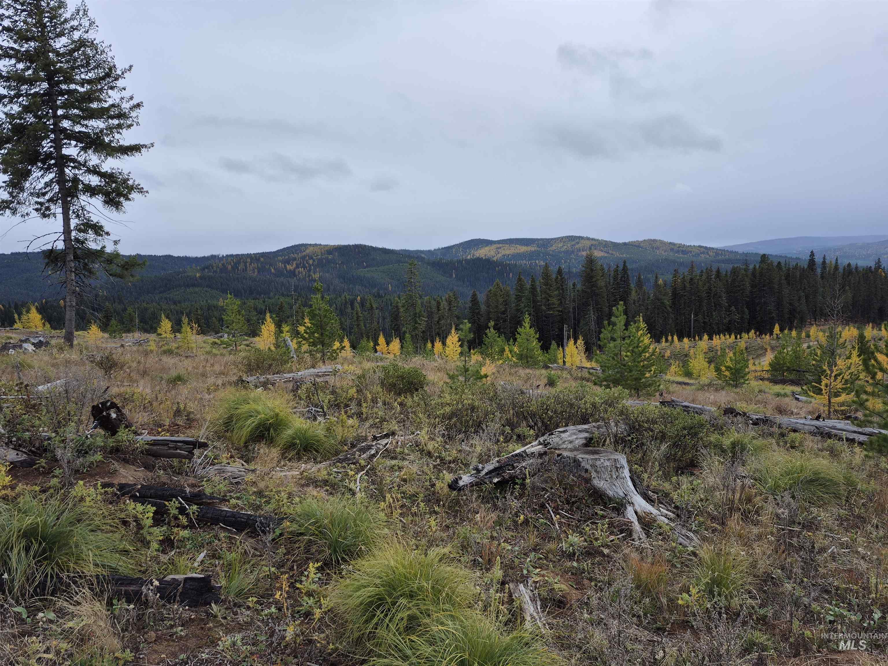 Tbd French Gulch Rd Parcel #2 Property Photo 9