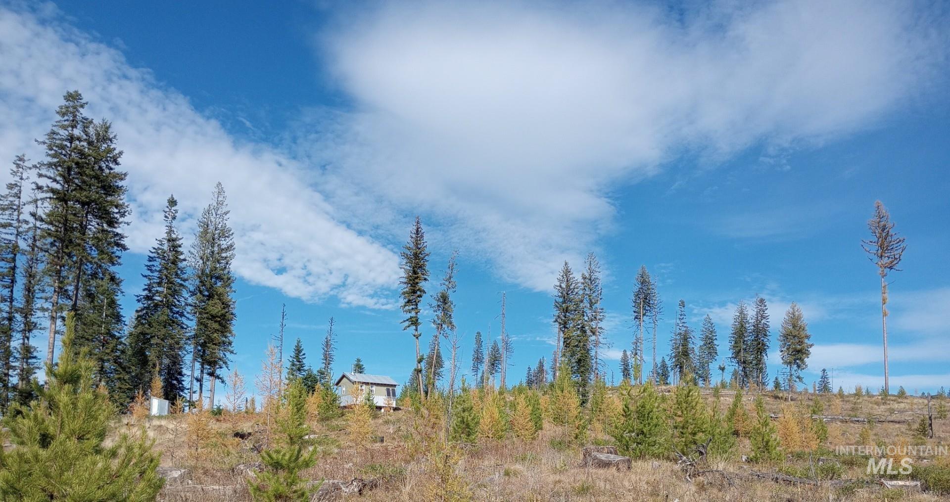 Tbd French Gulch Rd Parcel #2 Property Photo 12