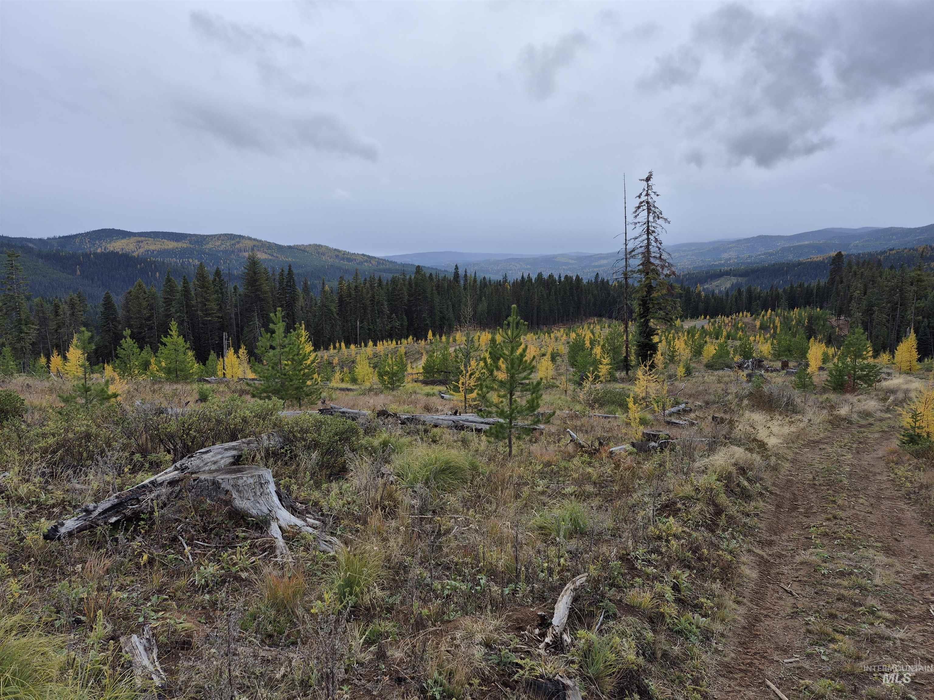 Tbd French Gulch Rd Parcel #2 Property Photo 13