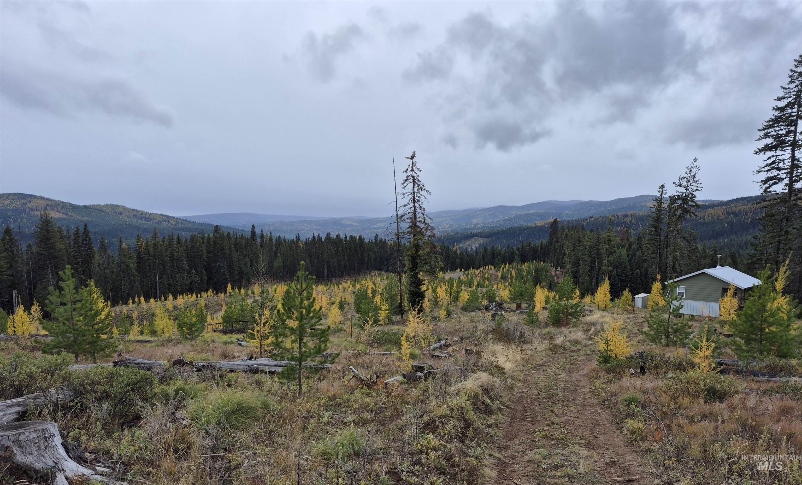 Tbd French Gulch Rd Parcel #2 Property Photo 14