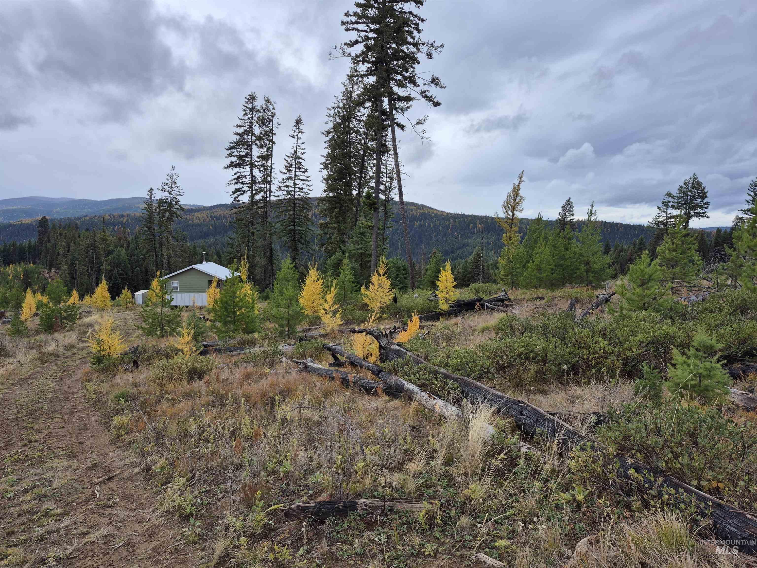 Tbd French Gulch Rd Parcel #2 Property Photo 15