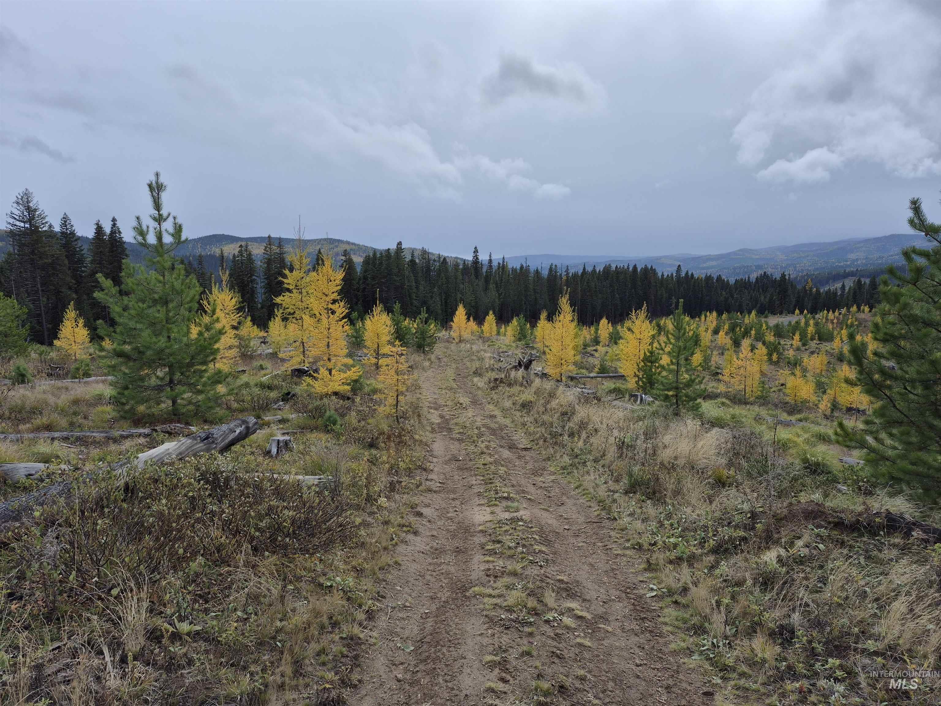 Tbd French Gulch Rd Parcel #2 Property Photo 16