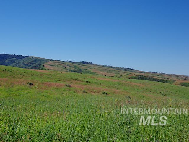 Tbd N Grays Cr. Rd Property Photo 6