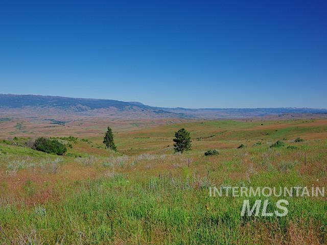 Tbd N Grays Cr. Rd Property Photo 7