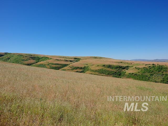 Tbd N Grays Cr. Rd Property Photo 12