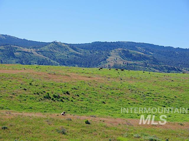 Tbd N Grays Cr. Rd Property Photo 13