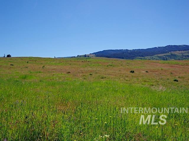 Tbd N Grays Cr. Rd Property Photo 14
