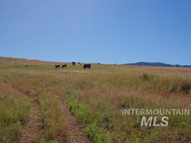 Tbd N Grays Cr. Rd Property Photo 15