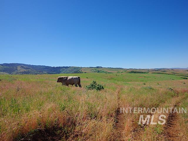 Tbd N Grays Cr. Rd Property Photo 16