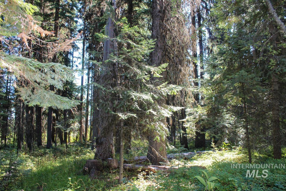 Tax #3 West Mountain Road Property Photo 9