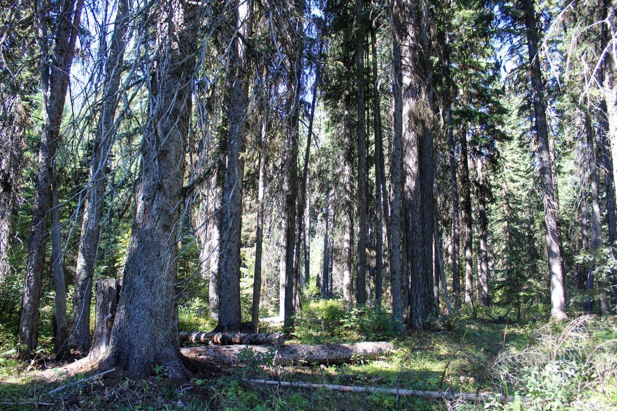 Tax #3 West Mountain Road Property Photo 12