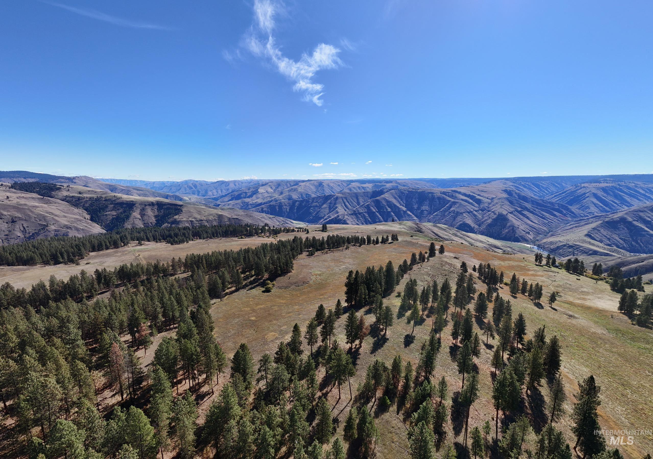 Nna Cougar Creek Road Property Photo 3