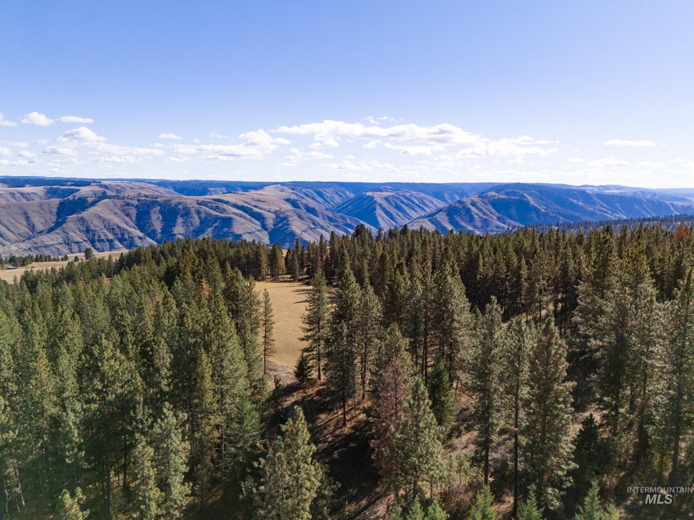 Nna Cougar Creek Road Property Photo 7