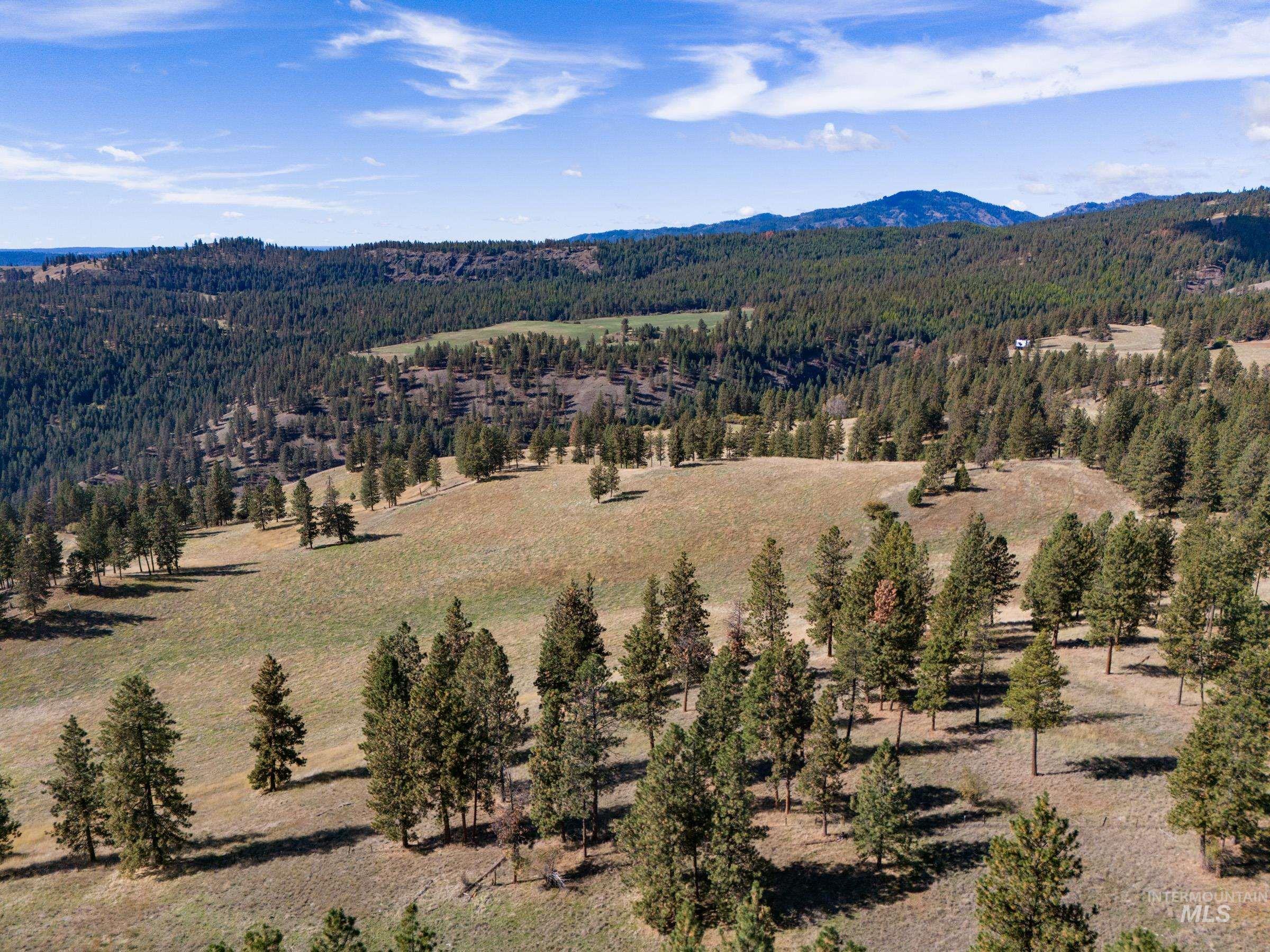Nna Cougar Creek Road Property Photo 11