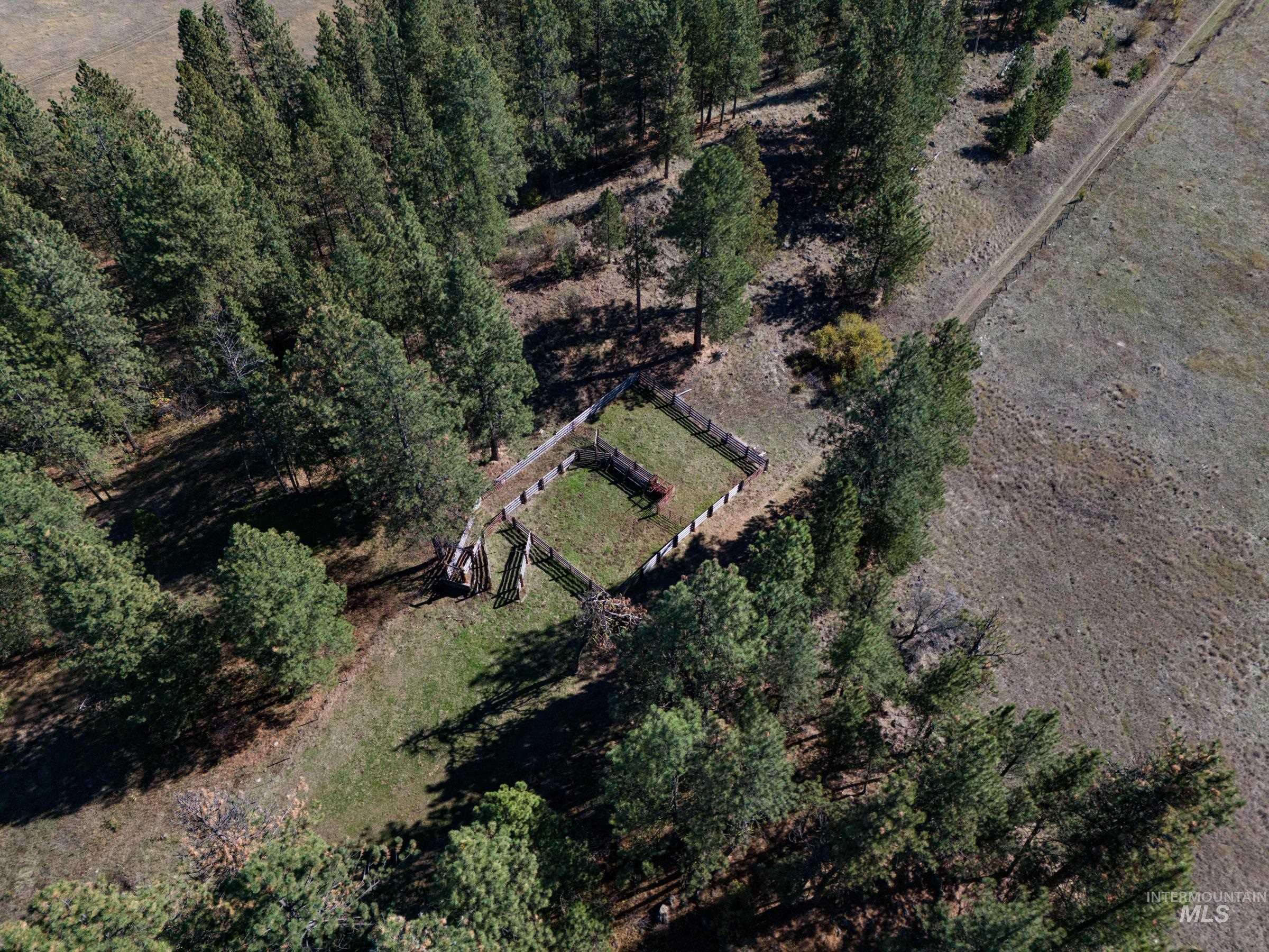 Nna Cougar Creek Road Property Photo 12