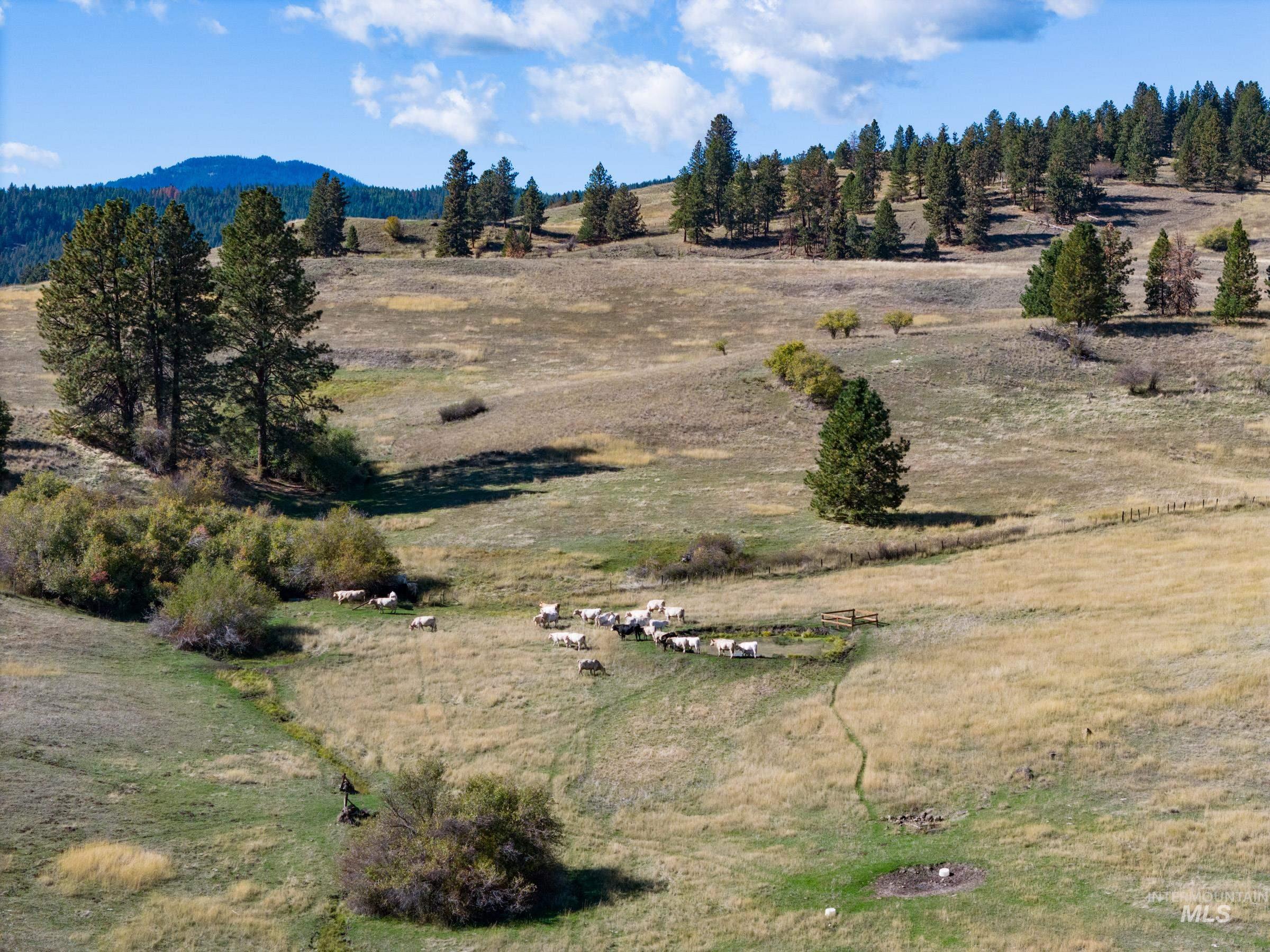 Nna Cougar Creek Road Property Photo 13
