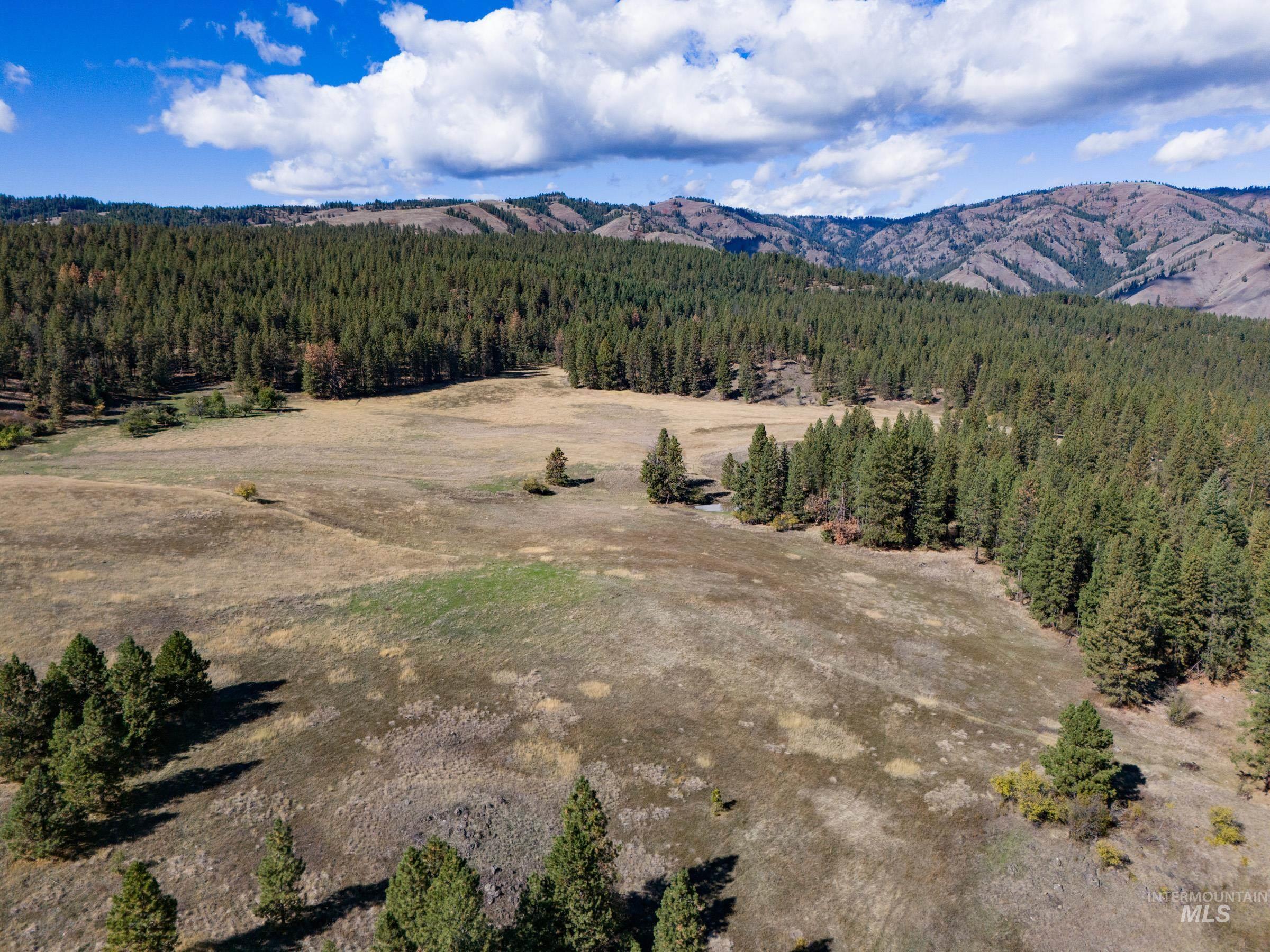 Nna Cougar Creek Road Property Photo 15