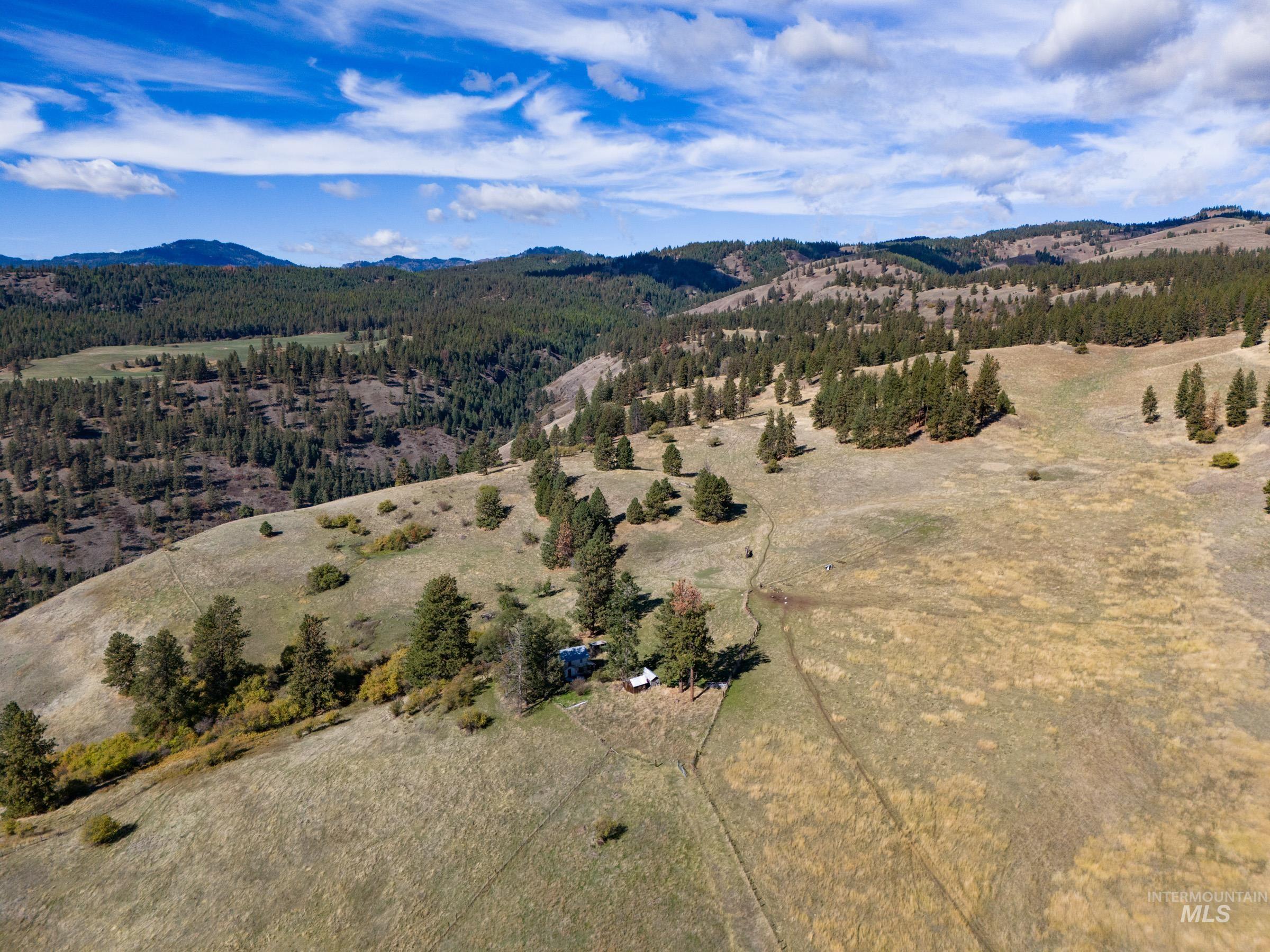 Nna Cougar Creek Road Property Photo 17