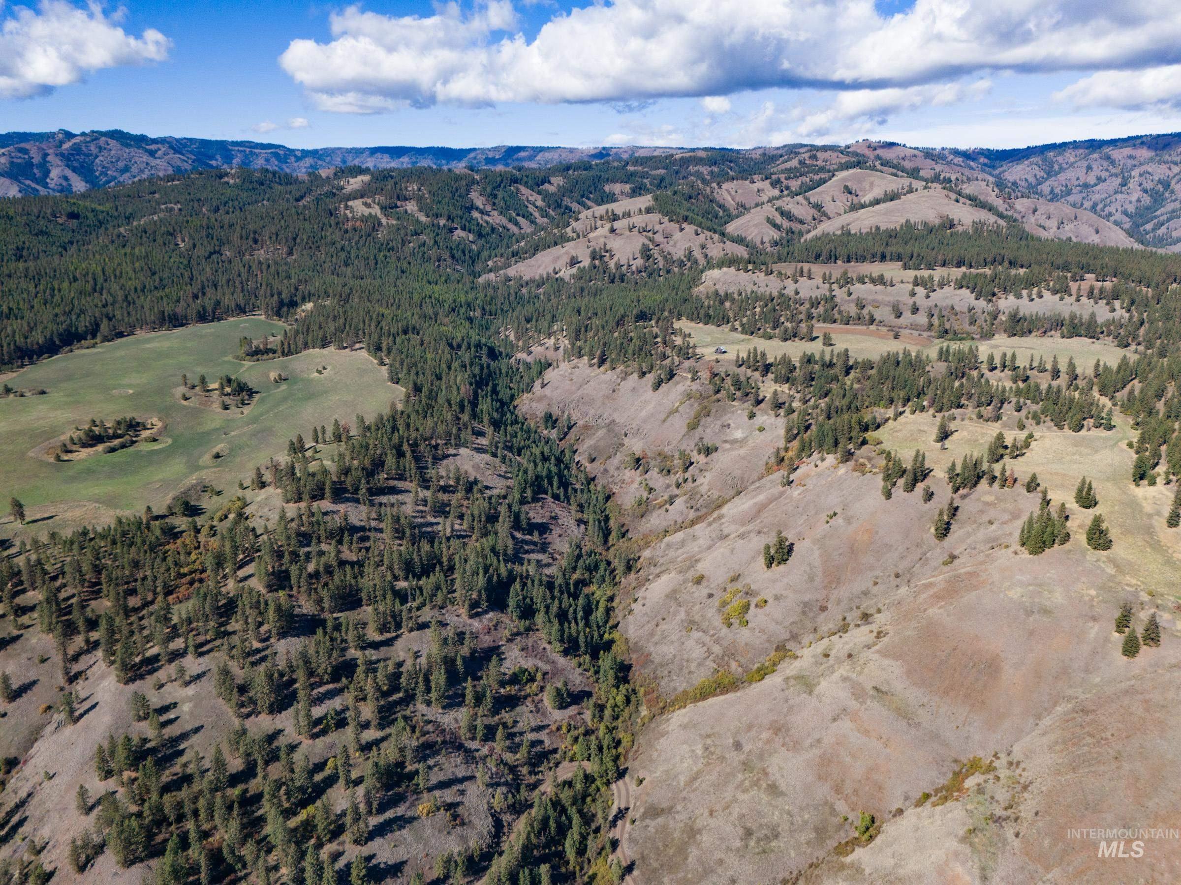 Nna Cougar Creek Road Property Photo 18