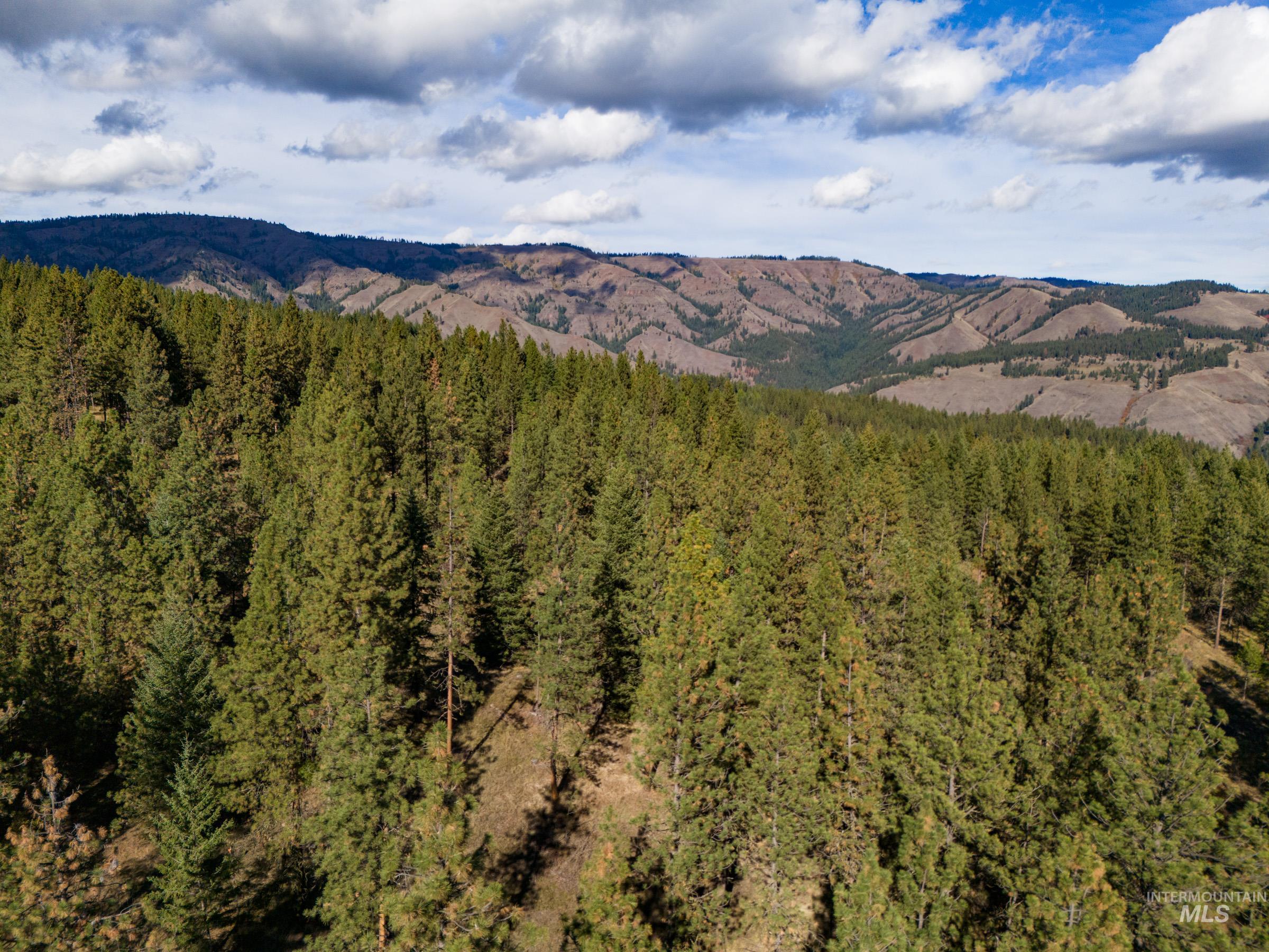 Nna Cougar Creek Road Property Photo 19