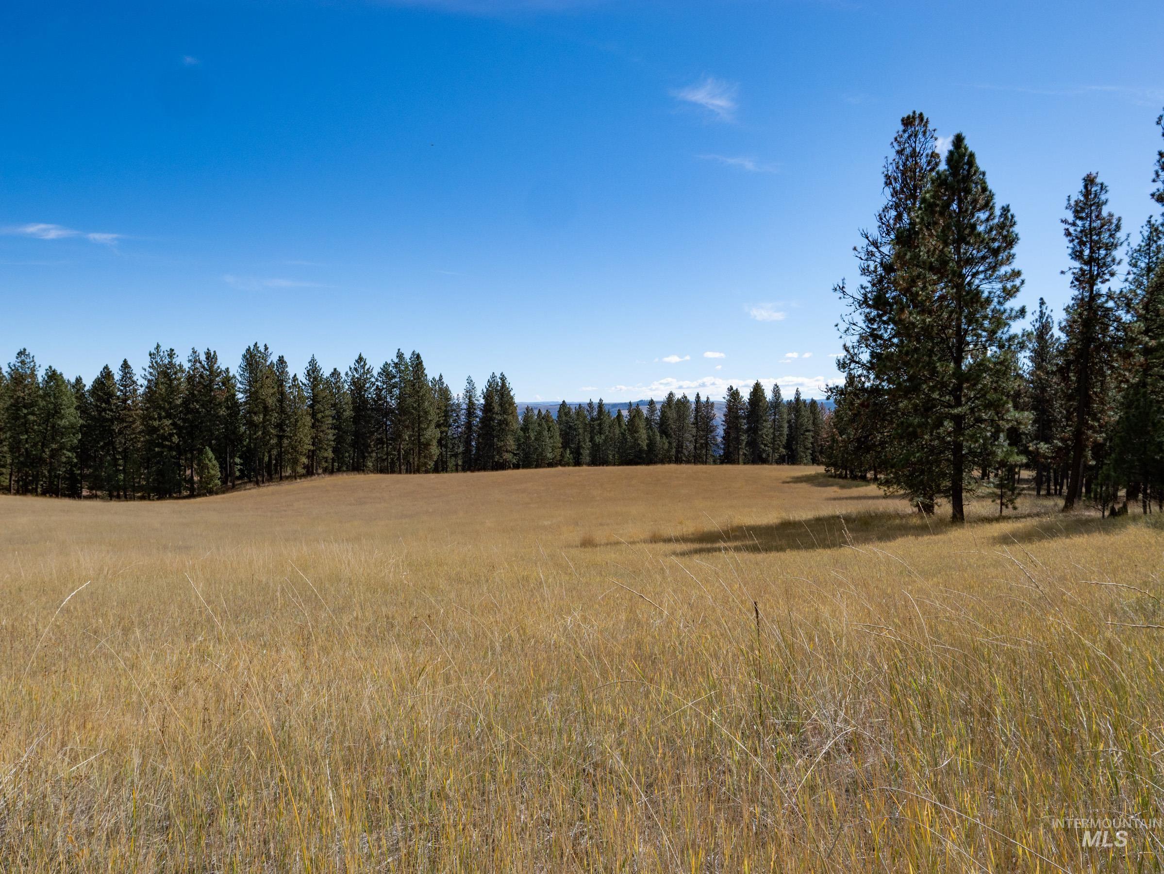 Nna Cougar Creek Road Property Photo 21