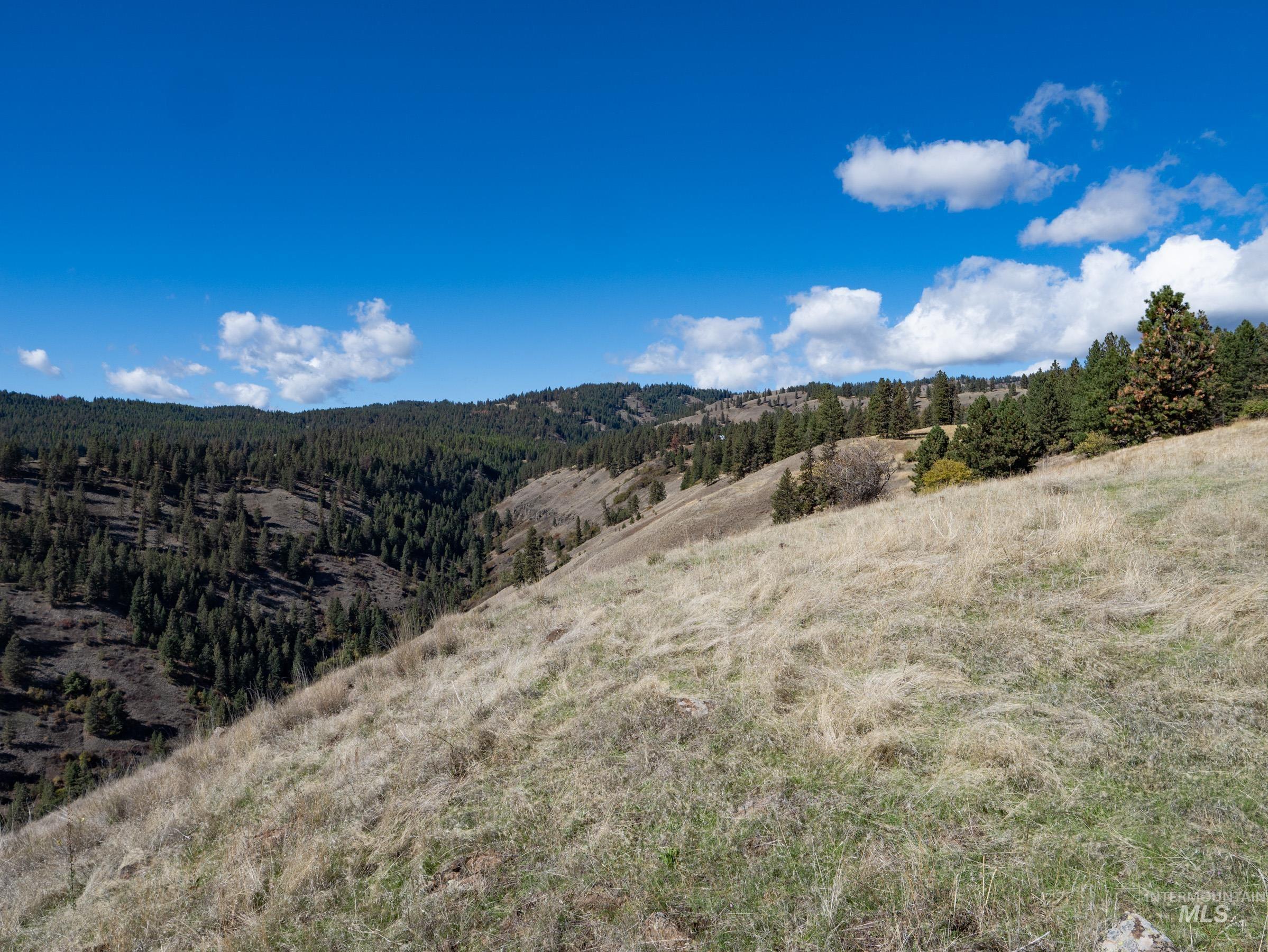 Nna Cougar Creek Road Property Photo 22