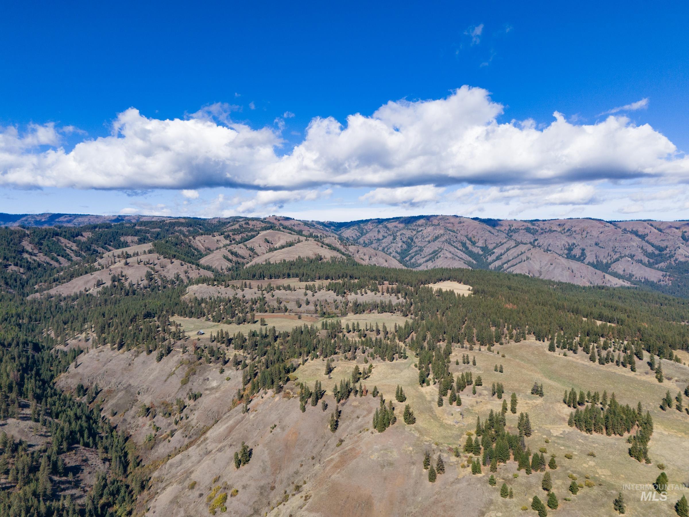 Nna Cougar Creek Road Property Photo 23