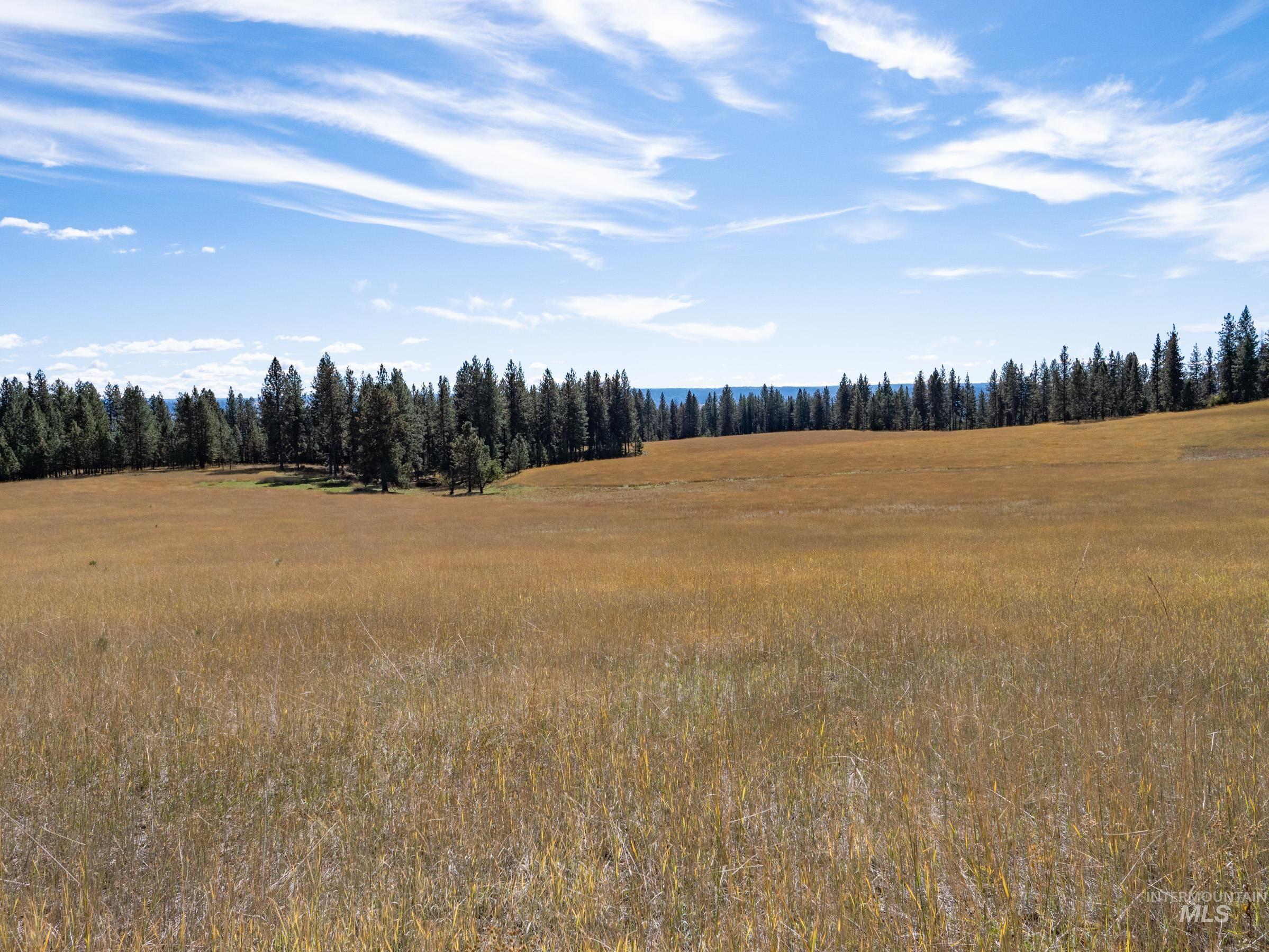 Nna Cougar Creek Road Property Photo 25