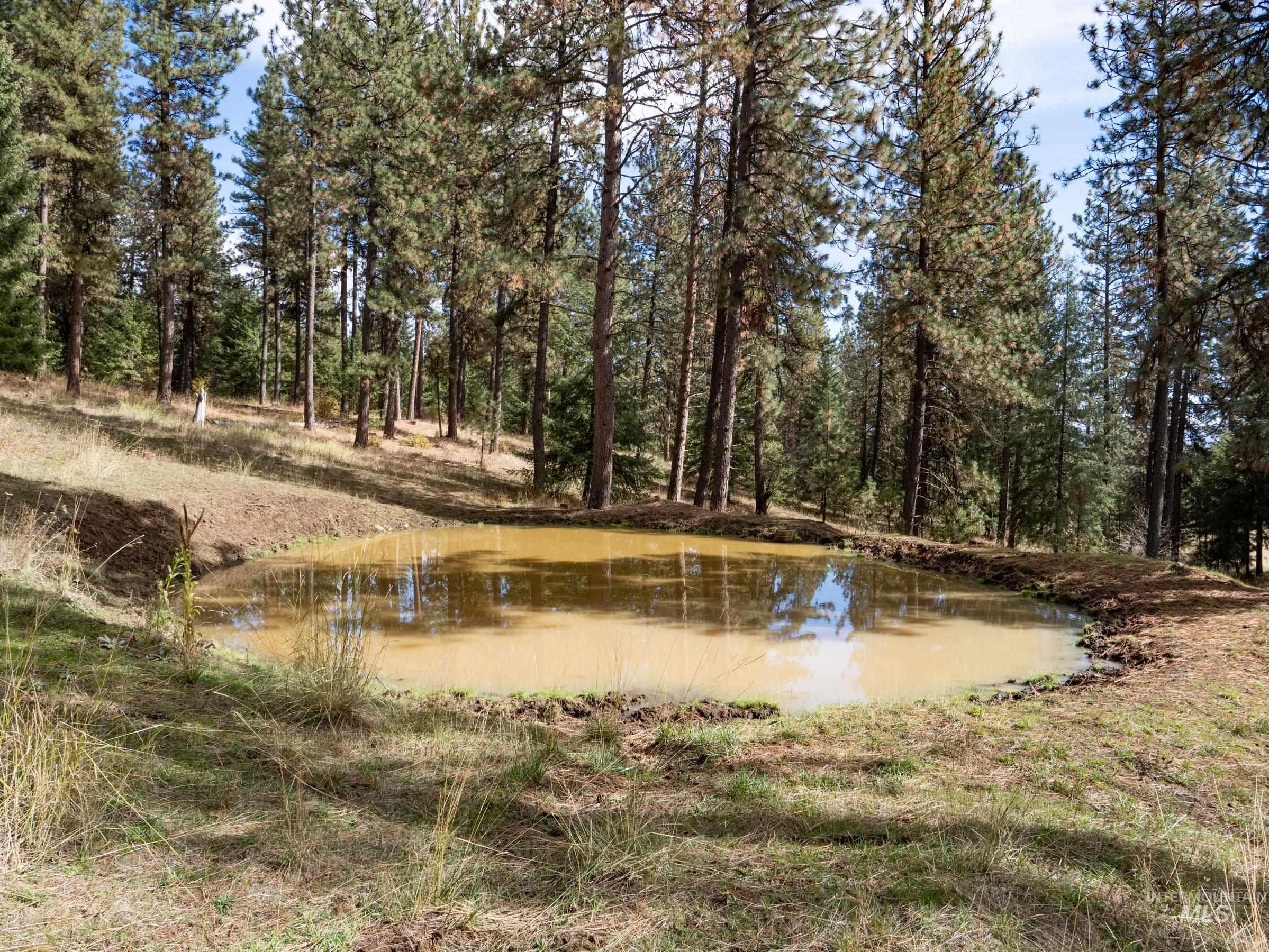 Nna Cougar Creek Road Property Photo 28