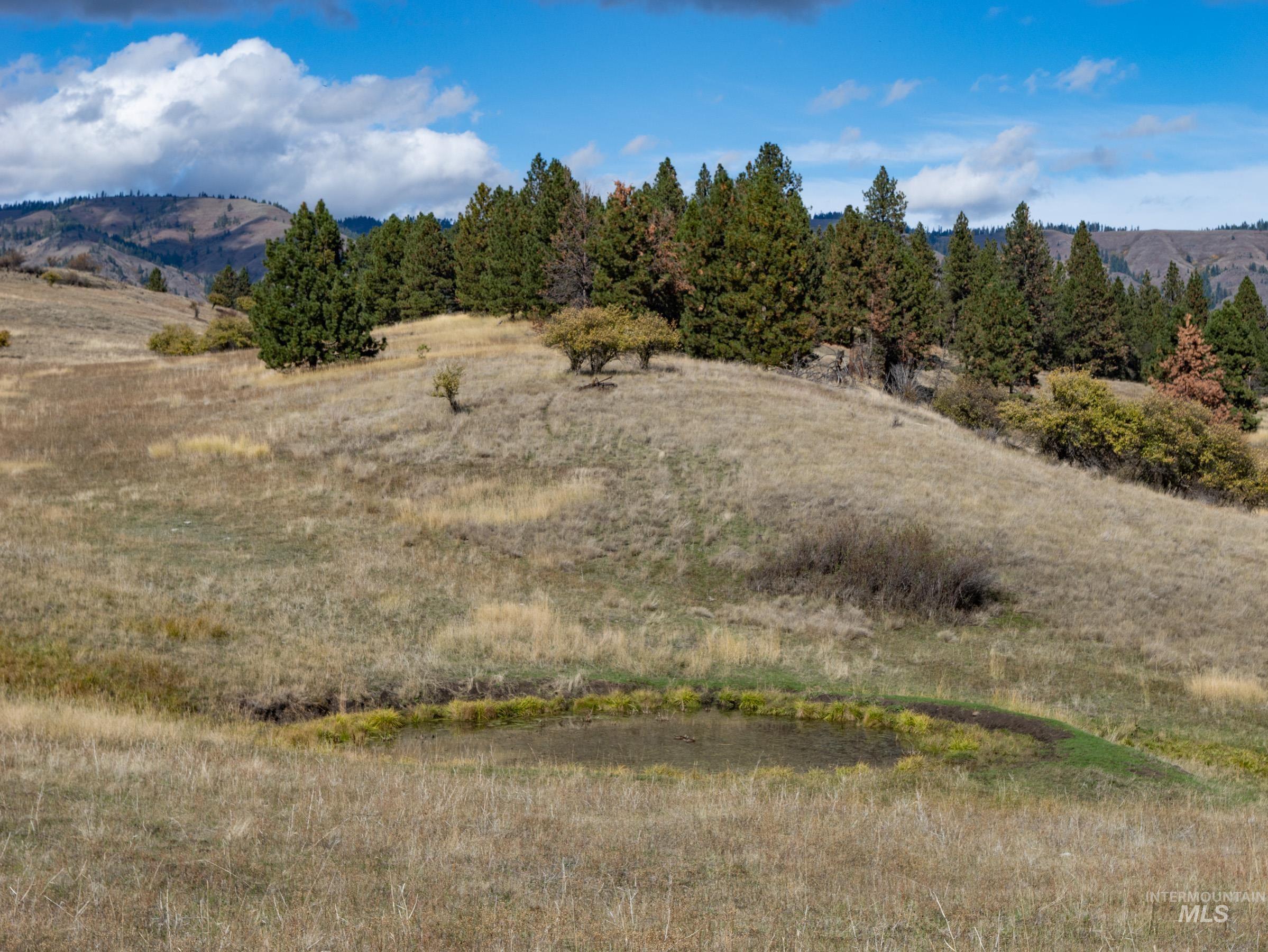 Nna Cougar Creek Road Property Photo 29