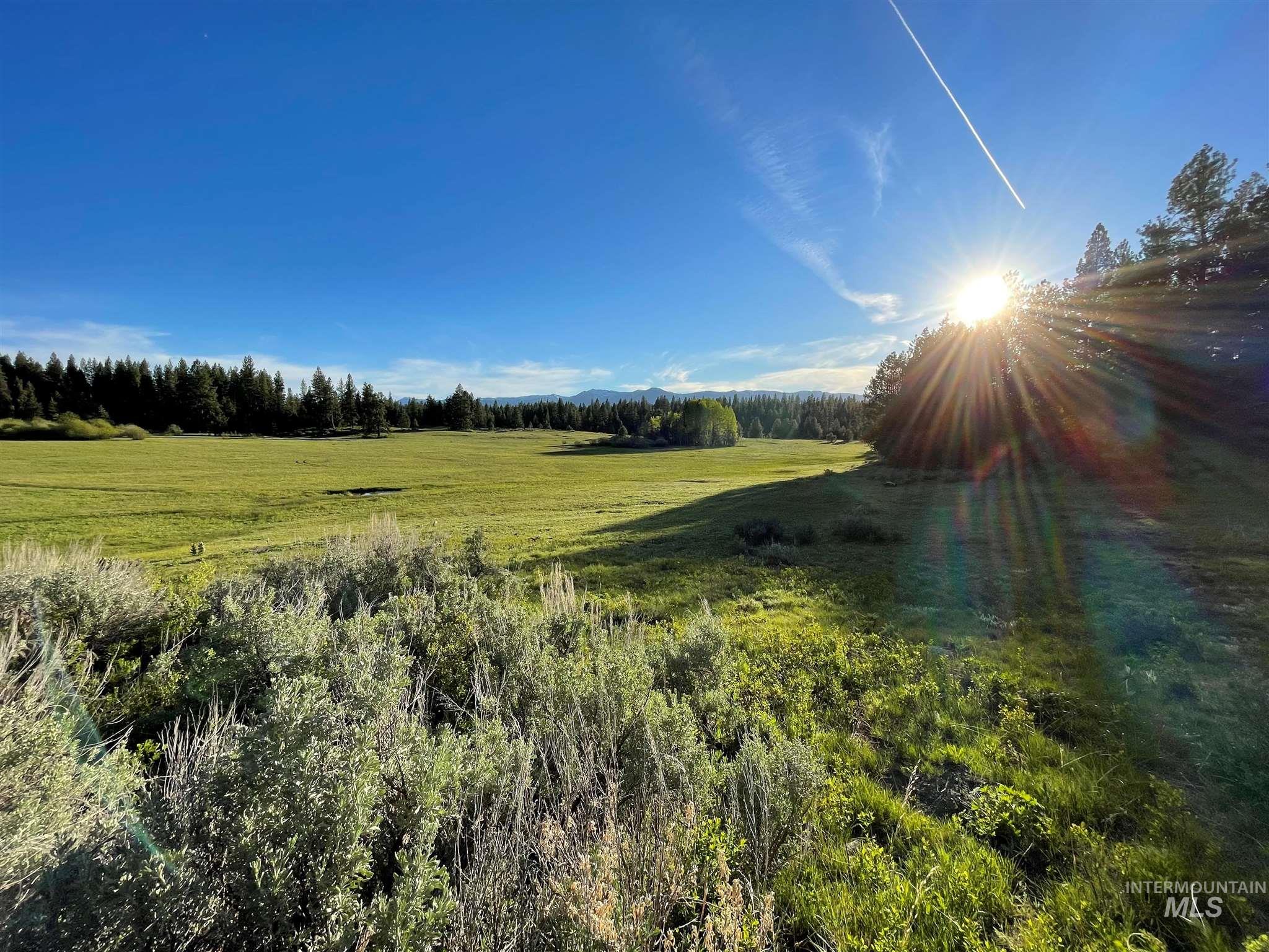 ±320 Acres - Big Creek Meadows Ranch Property Photo 3