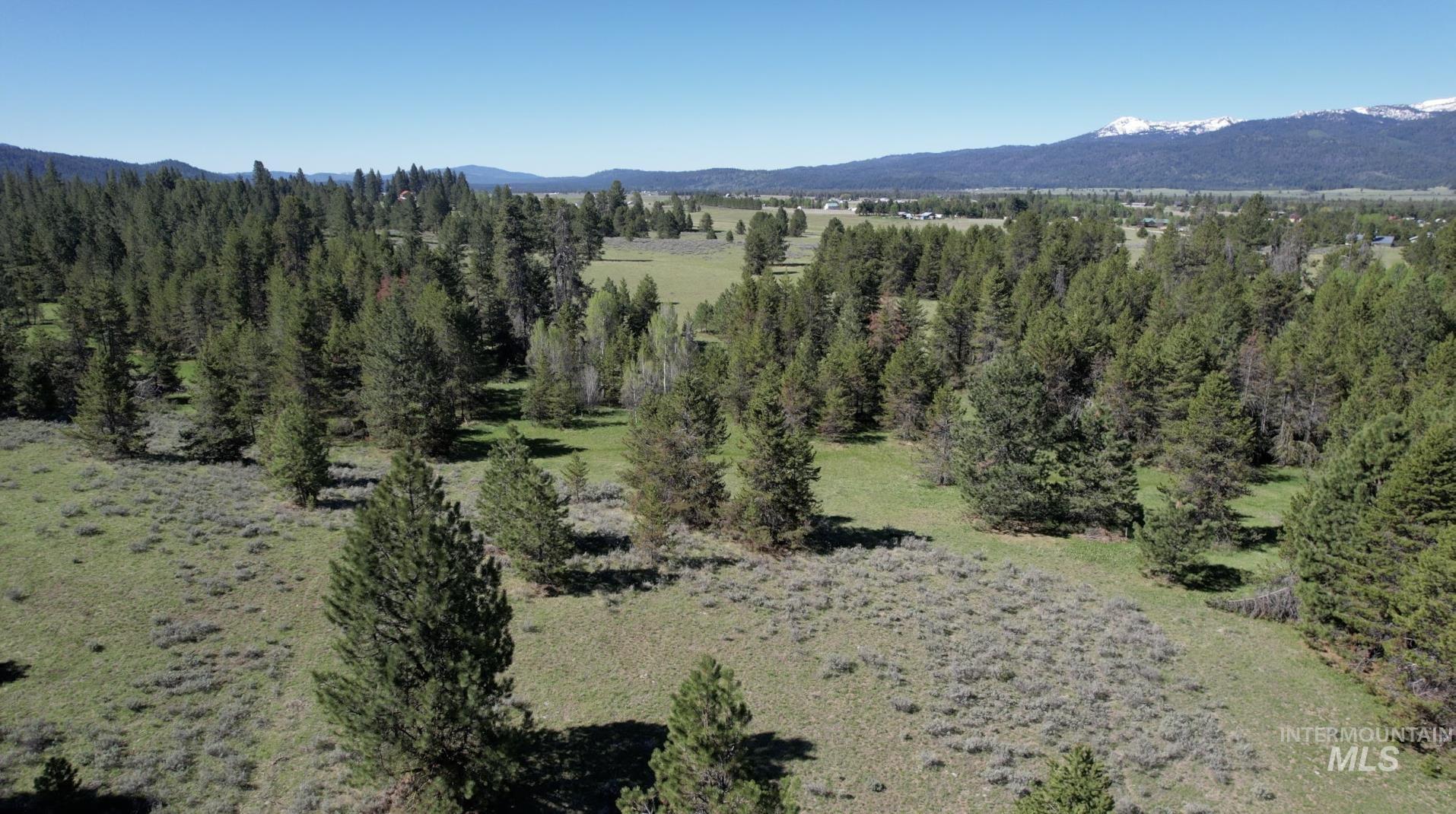 ±320 Acres - Big Creek Meadows Ranch Property Photo 4