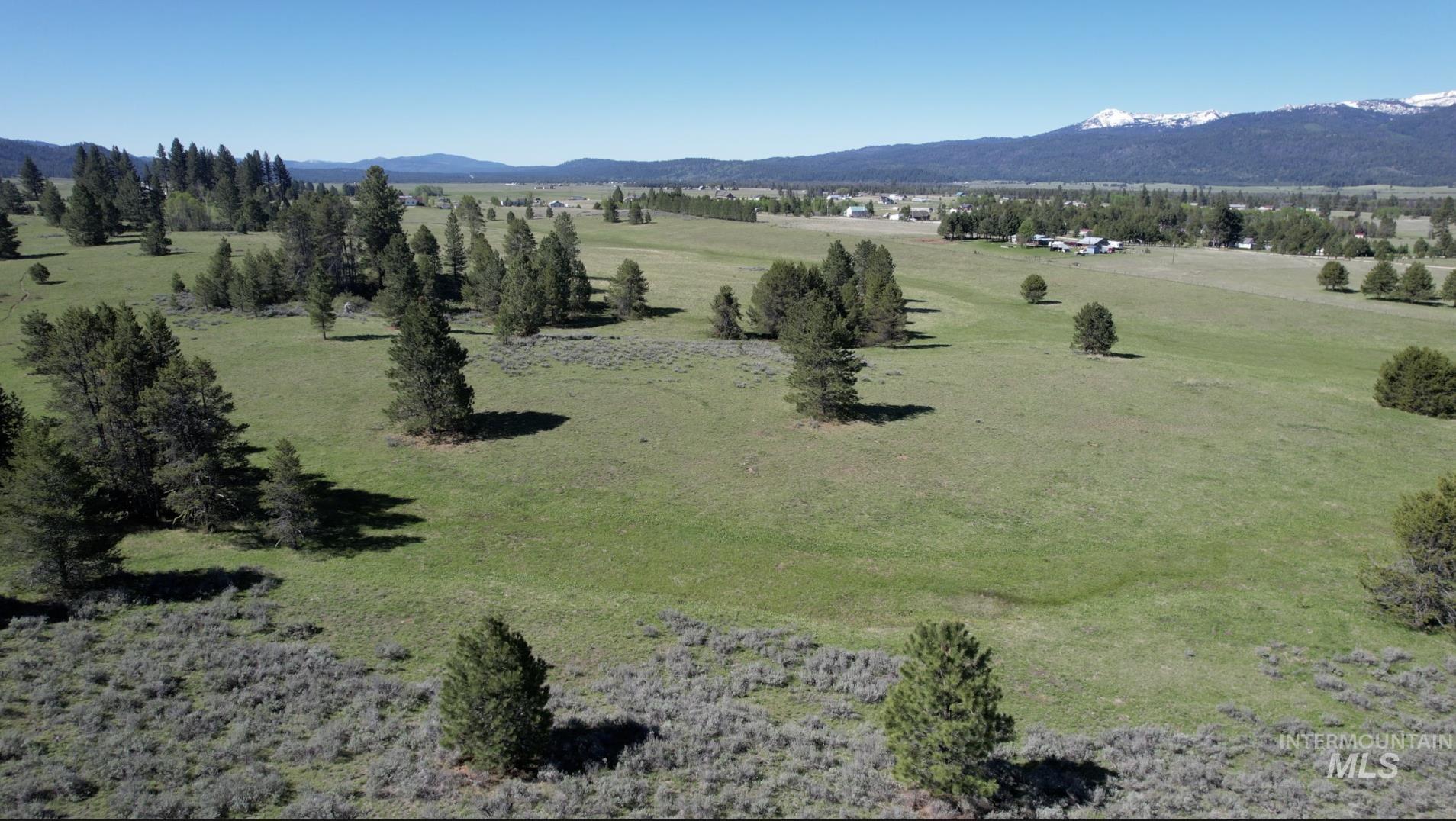 ±320 Acres - Big Creek Meadows Ranch Property Photo 5