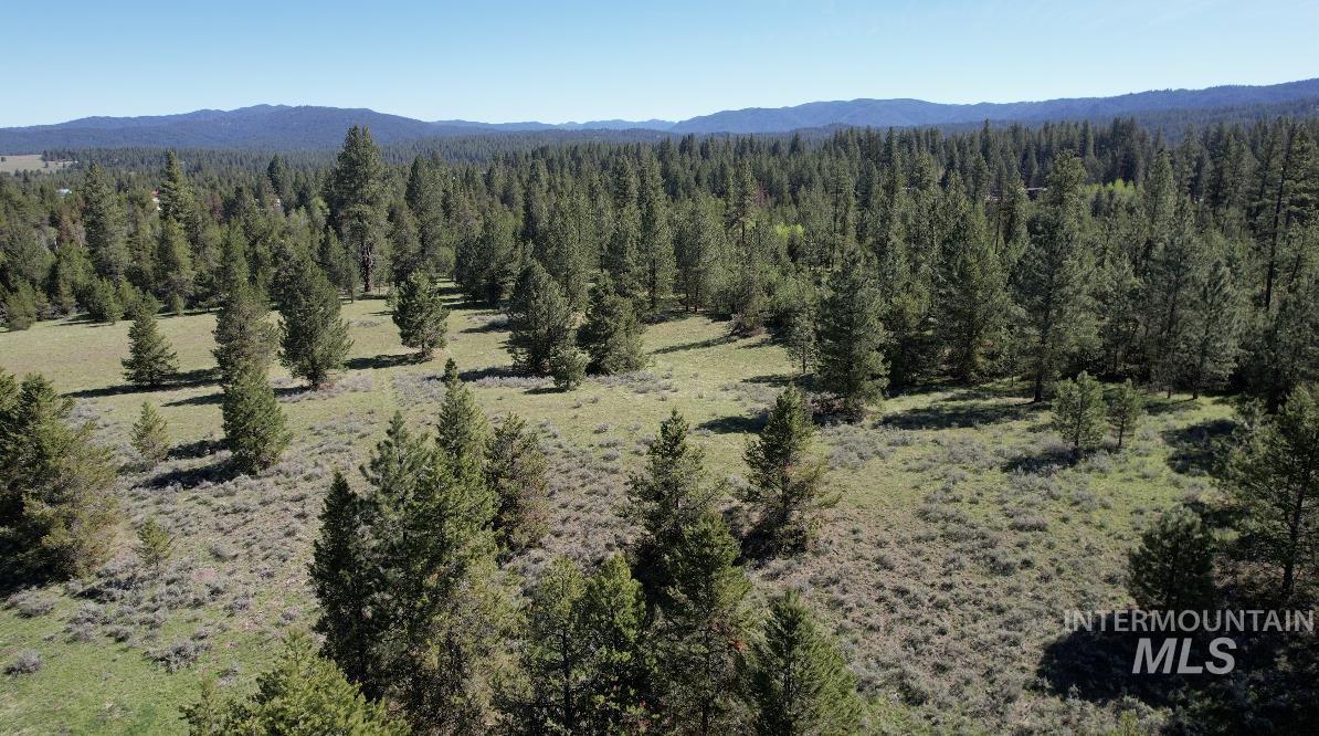 ±320 Acres - Big Creek Meadows Ranch Property Photo 6