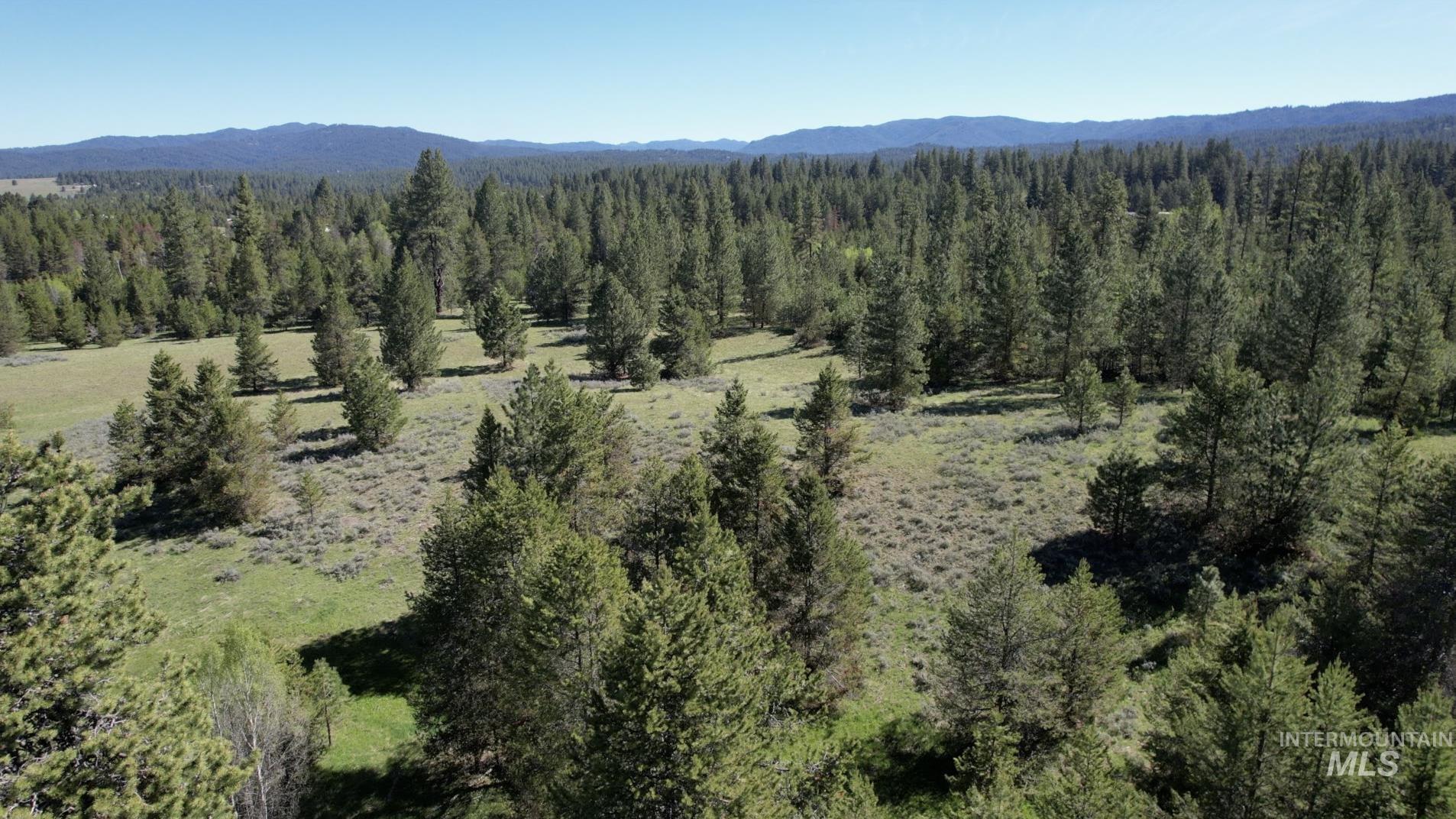 ±320 Acres - Big Creek Meadows Ranch Property Photo 7