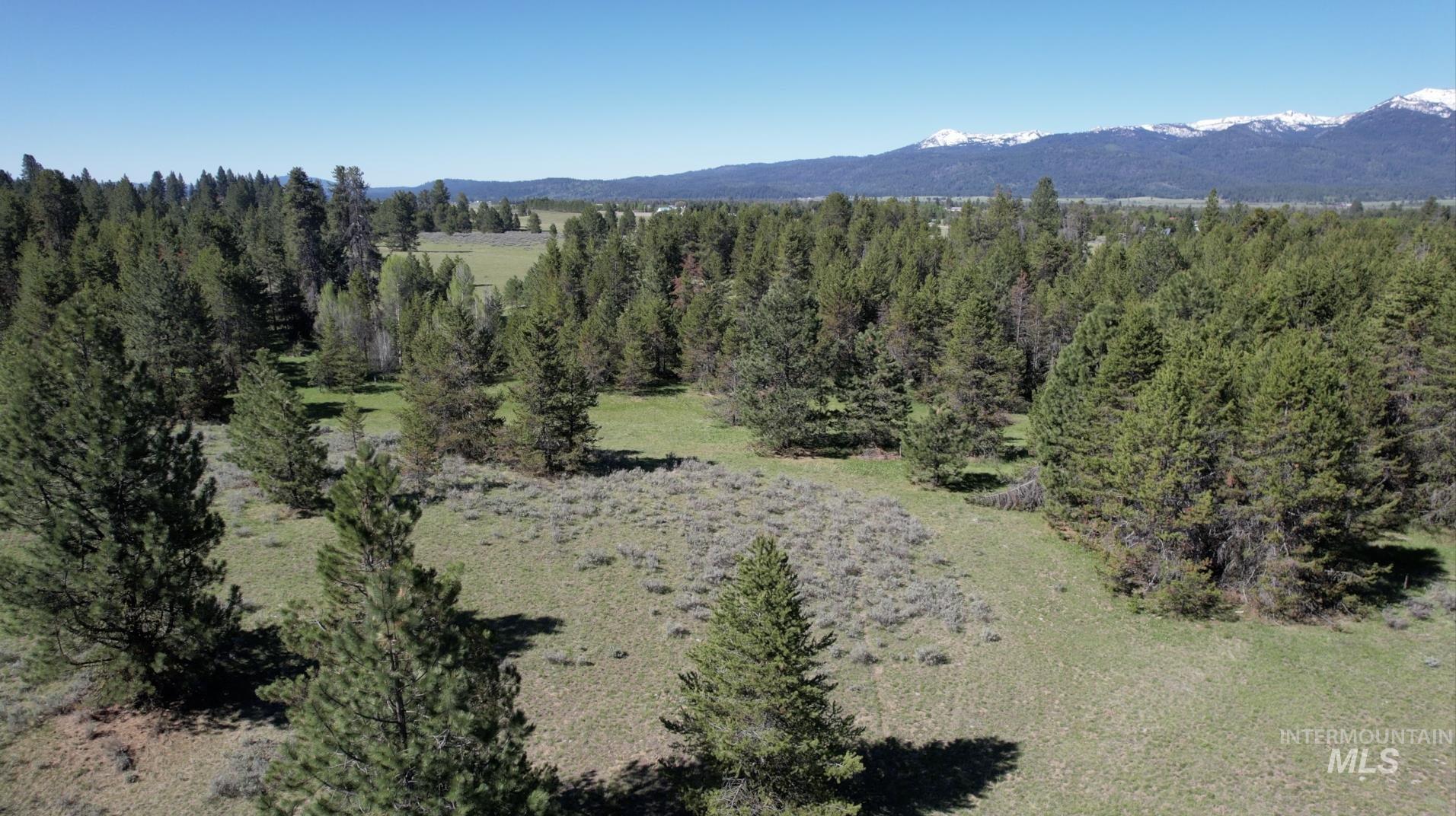 ±320 Acres - Big Creek Meadows Ranch Property Photo 8