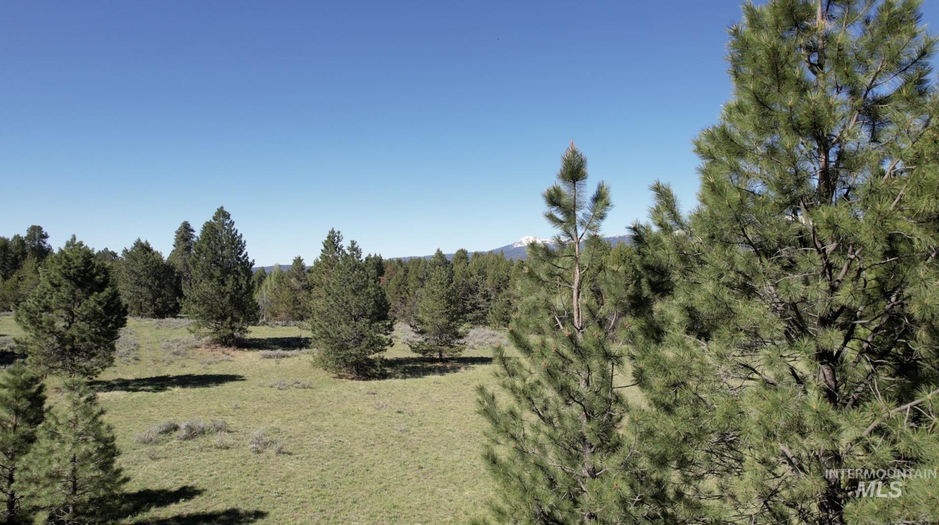 ±320 Acres - Big Creek Meadows Ranch Property Photo 9
