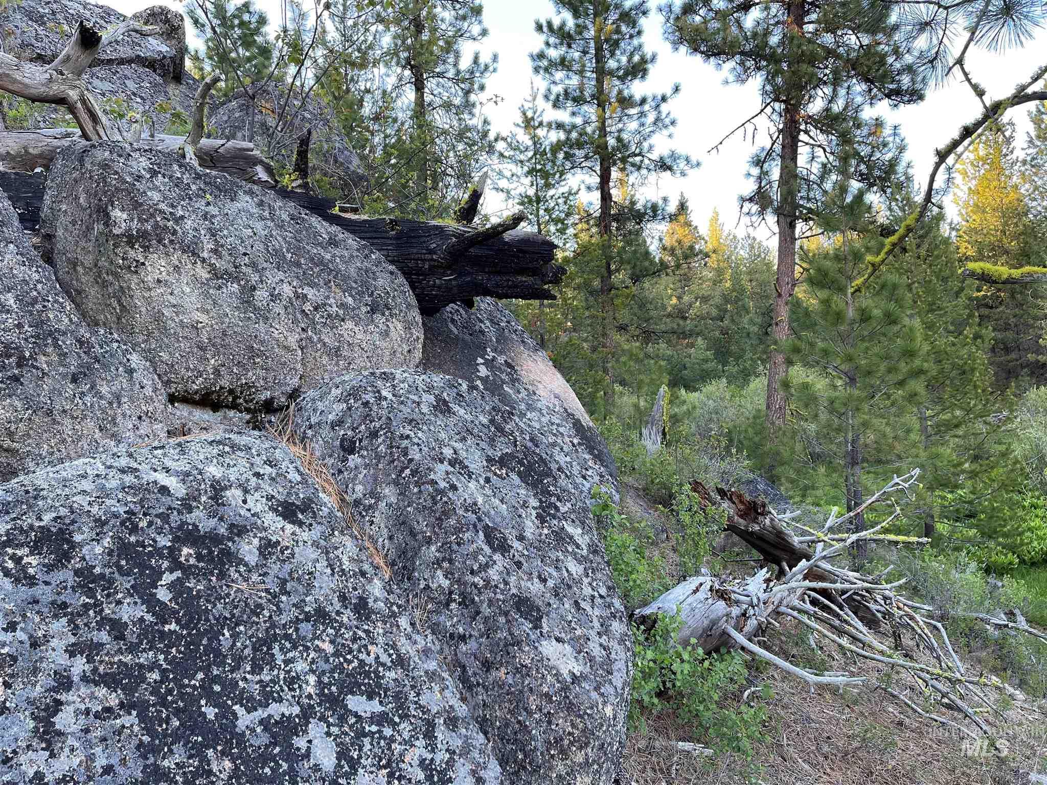 ±320 Acres - Big Creek Meadows Ranch Property Photo 13